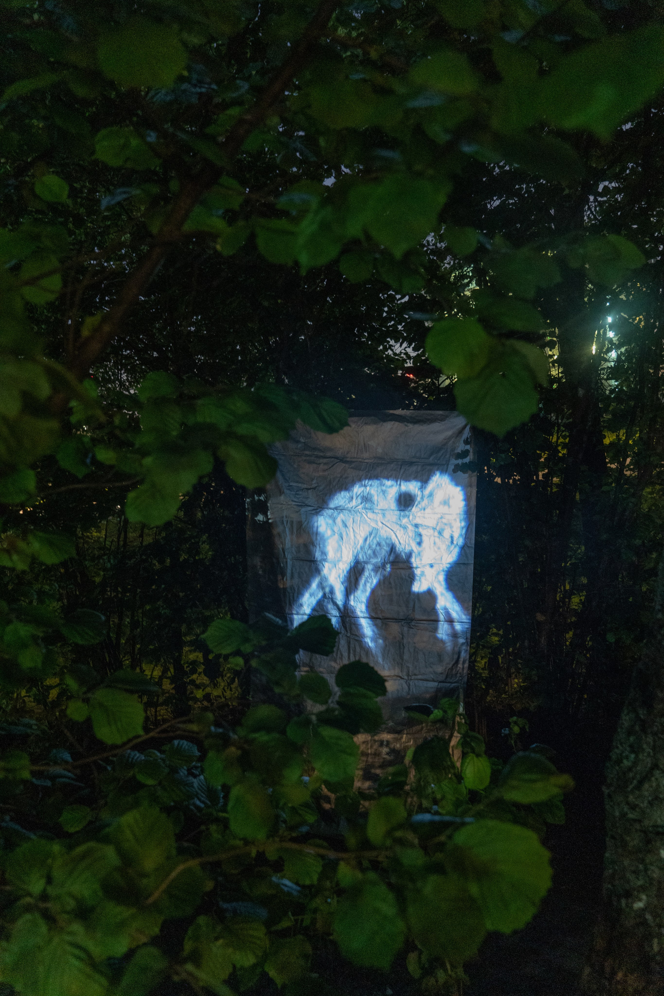 Не смотри им в глаза. Козлова Екатерина. Междисциплинарная визуальная художница