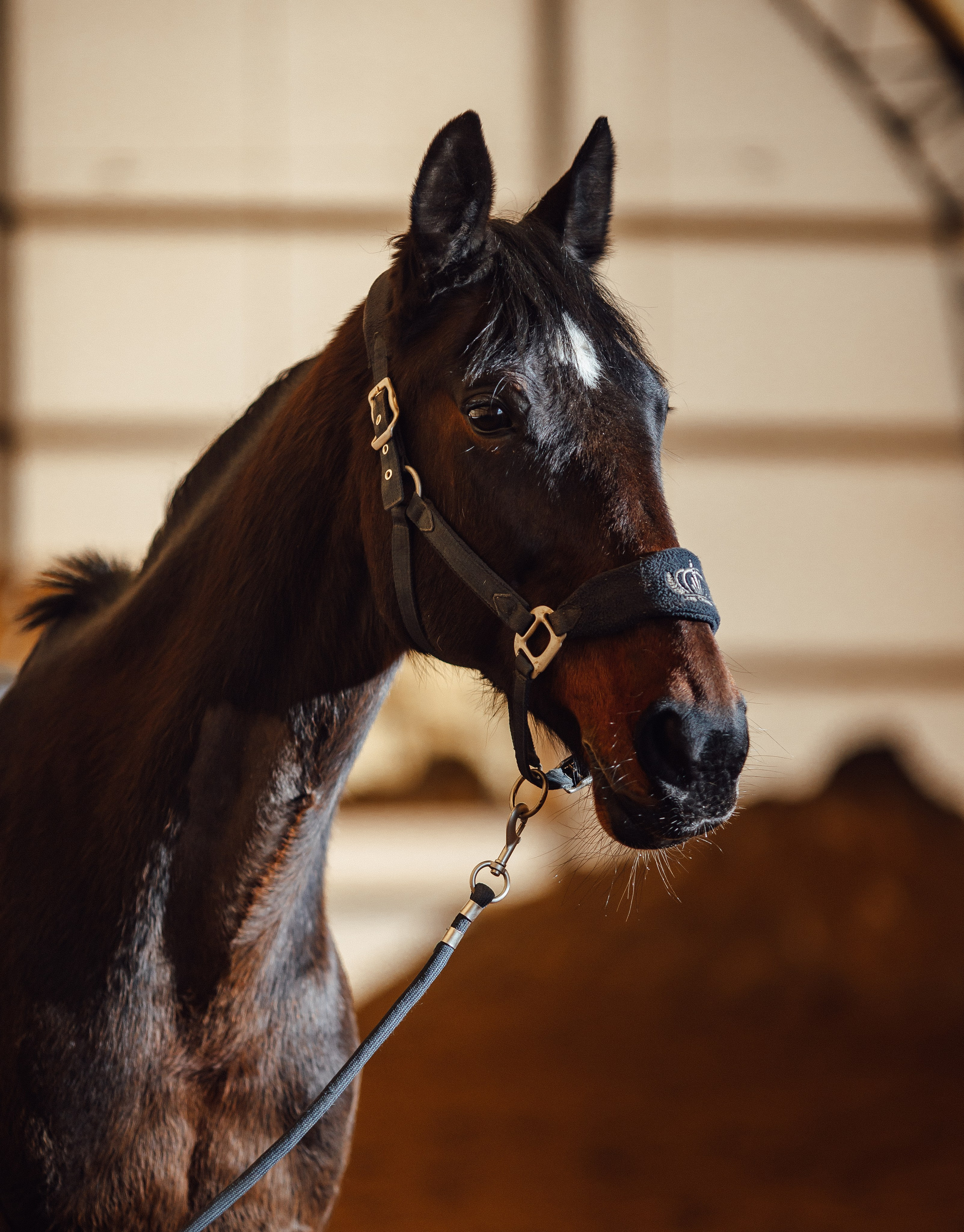 Вилла. Фотограф Варвара Ермоленко
