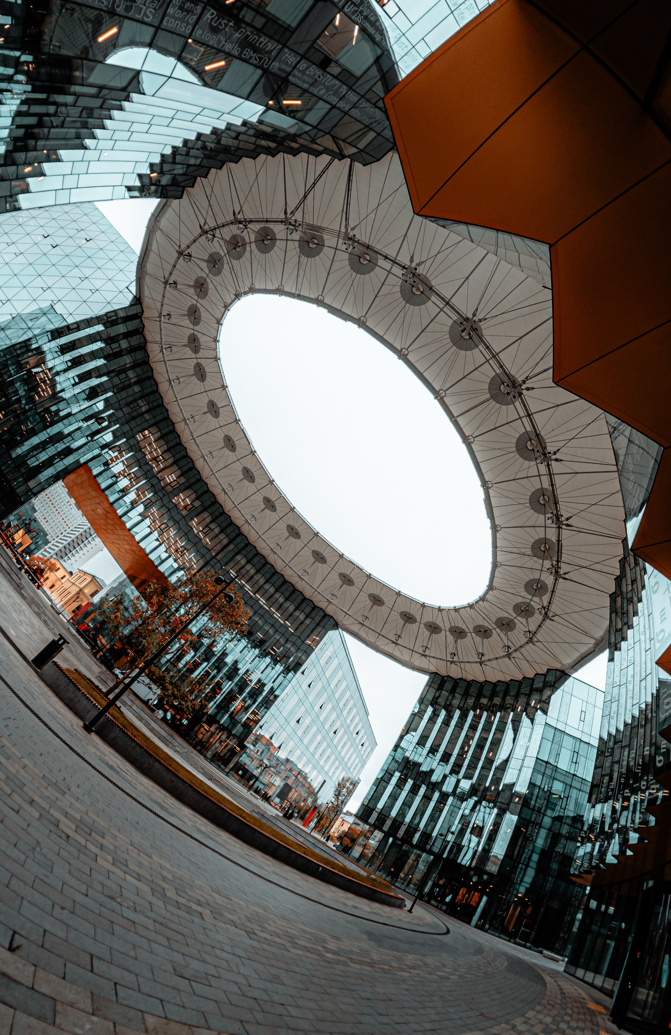 Постеры. Roycoreroy