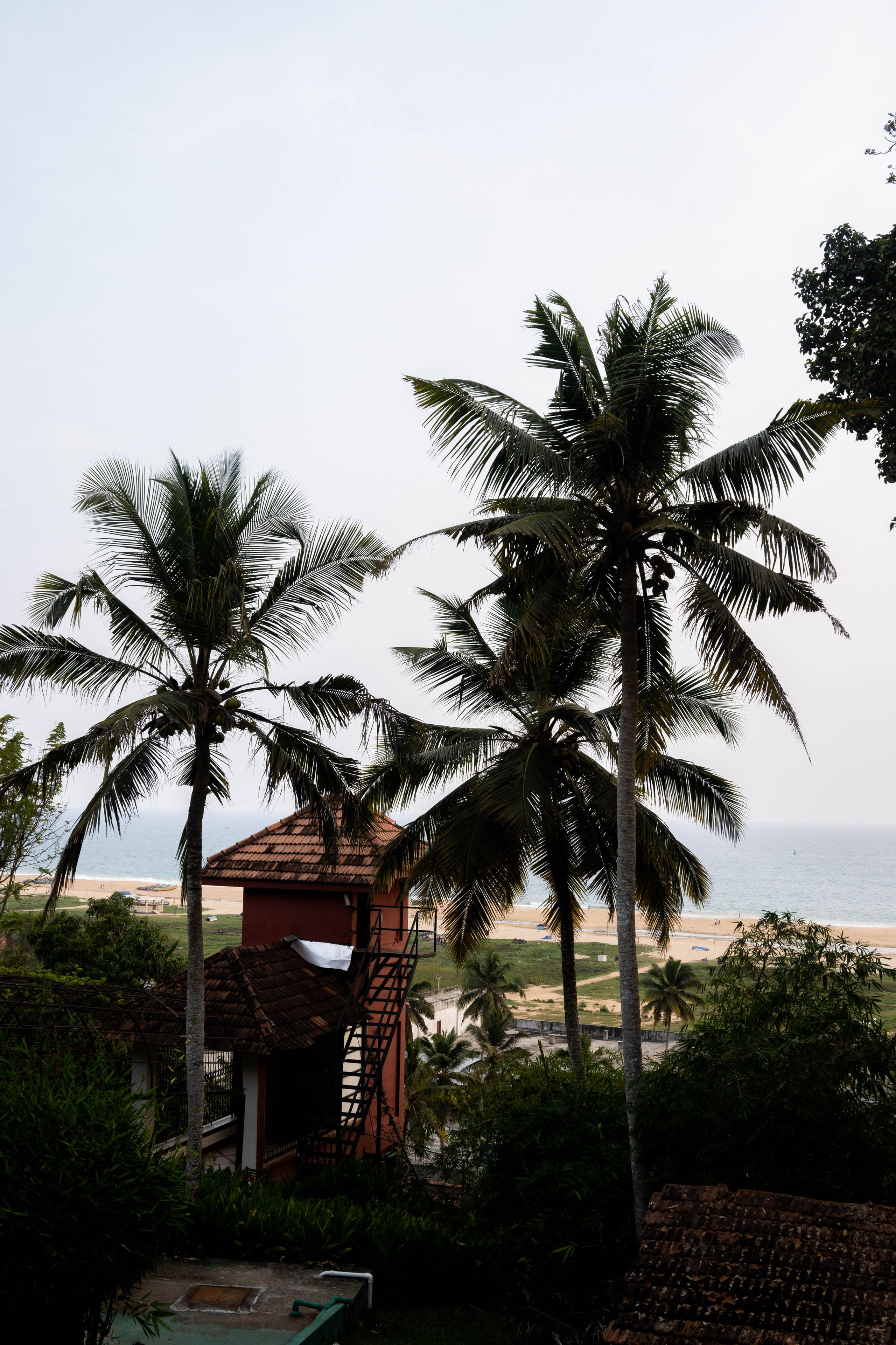 ИНДИЯ. Фотограф Анастасия Броварник в Санкт-Петербурге