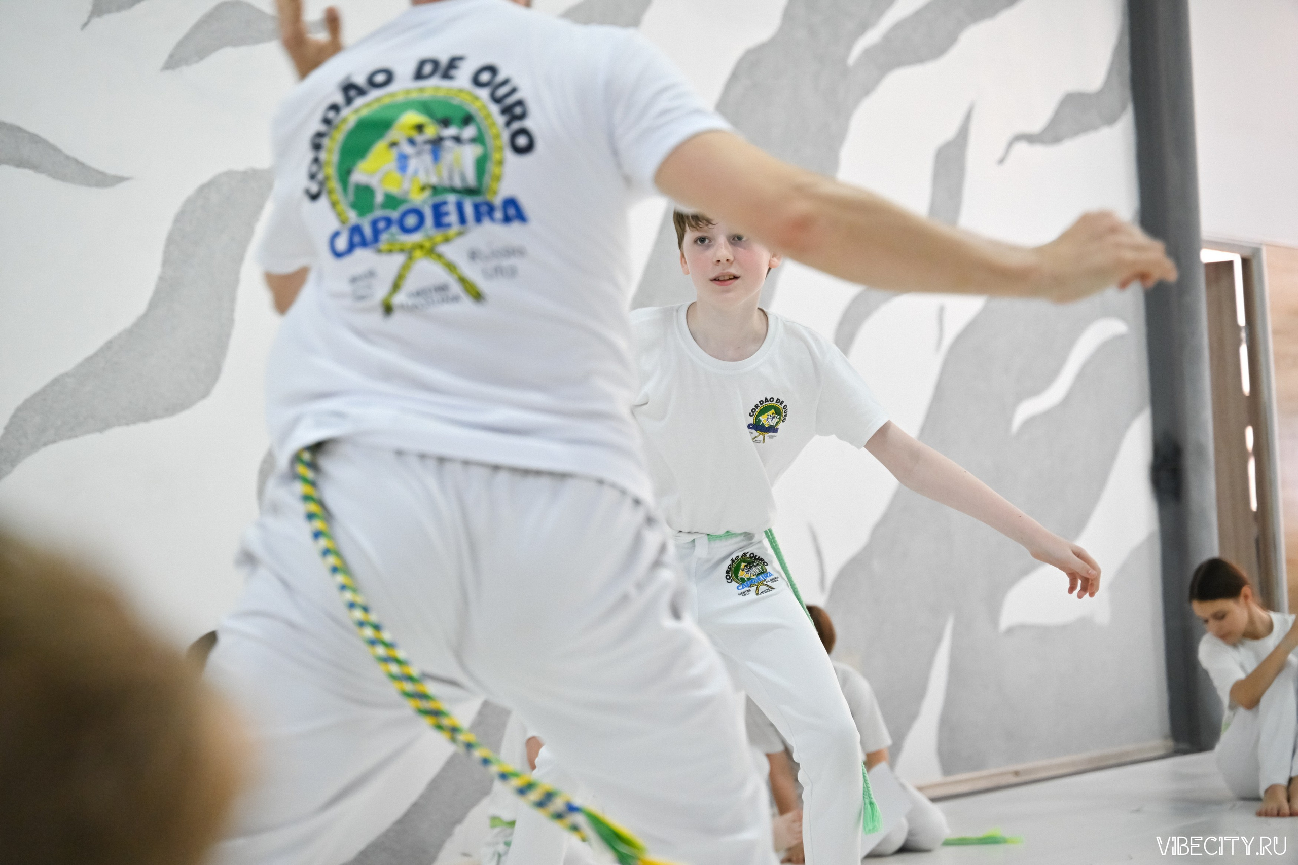 Capoeira: 4-е batizado e Troca de cordao. VIBECITY.RU Вайб Сити Ру Фоторепортажи Фотоотчеты Калининград