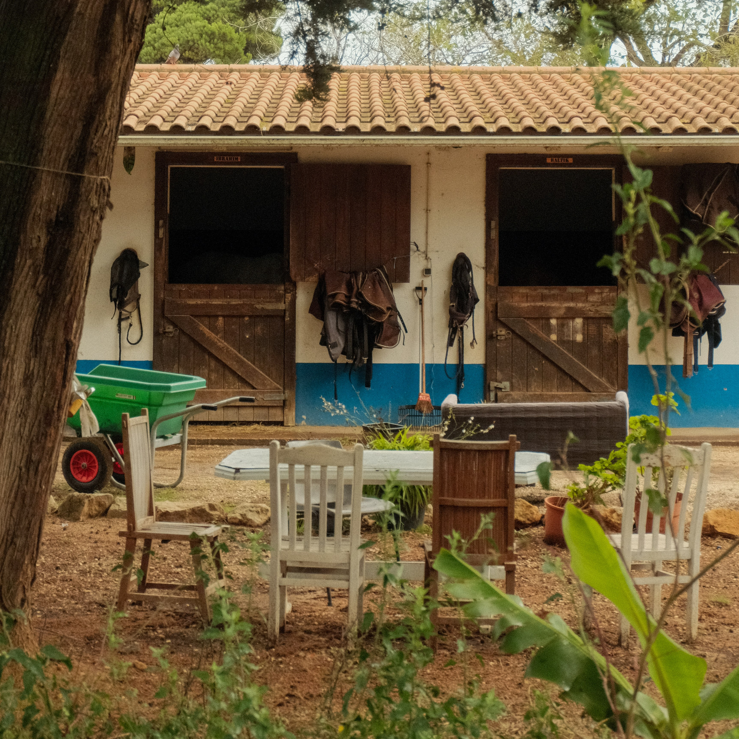 Lisbon. Creative travel photographer — Berg Daria