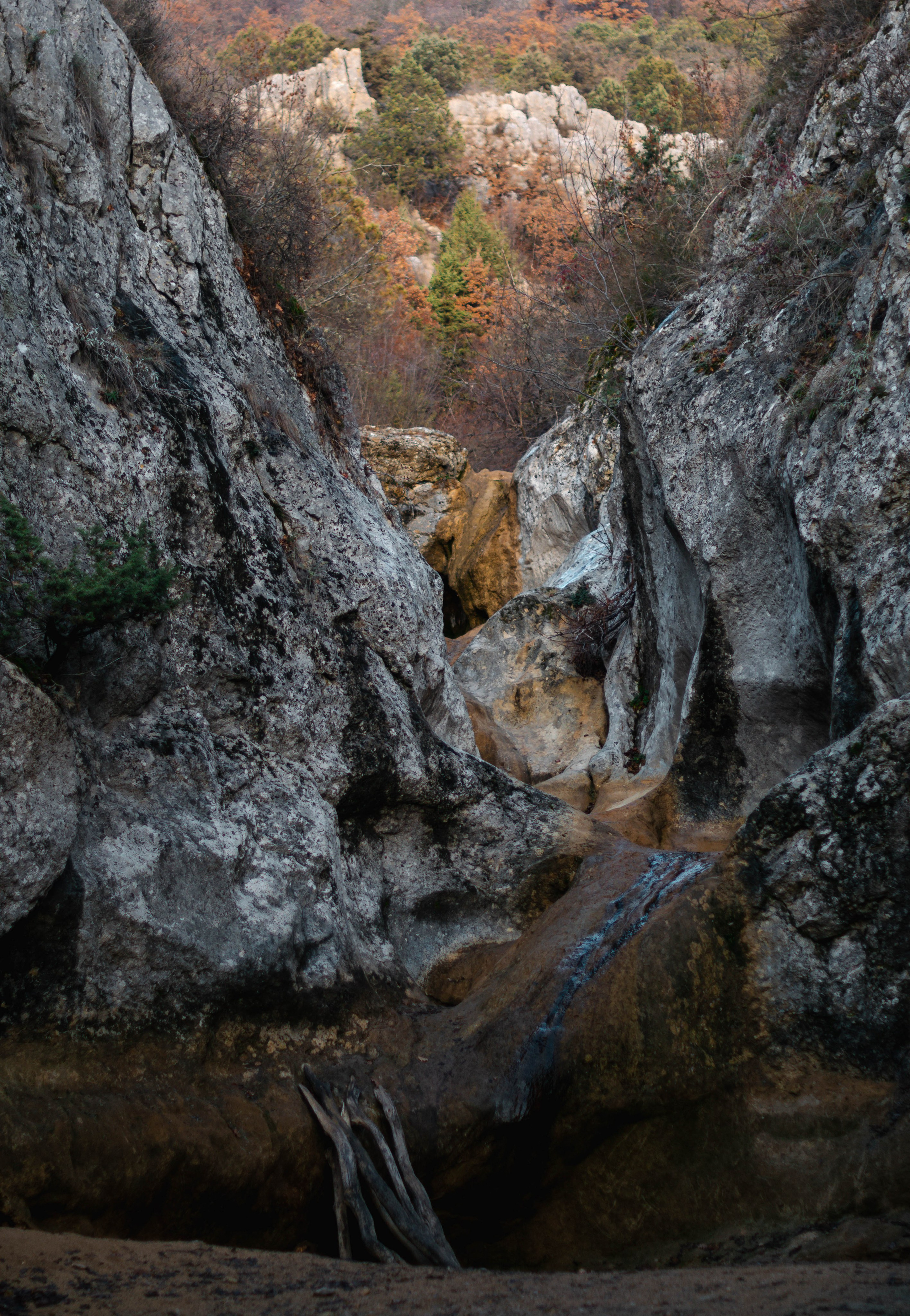 Шаман. Фотограф в Севастополе