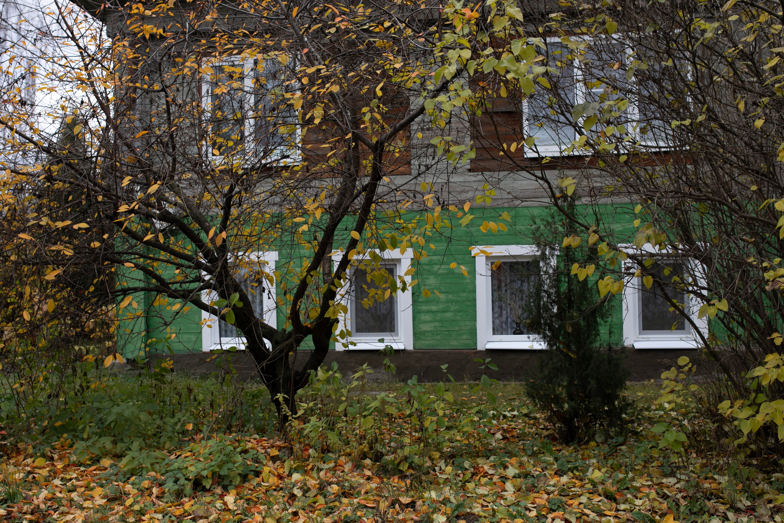 Муром — Гороховец'25. Фотограф-портретист в Москве