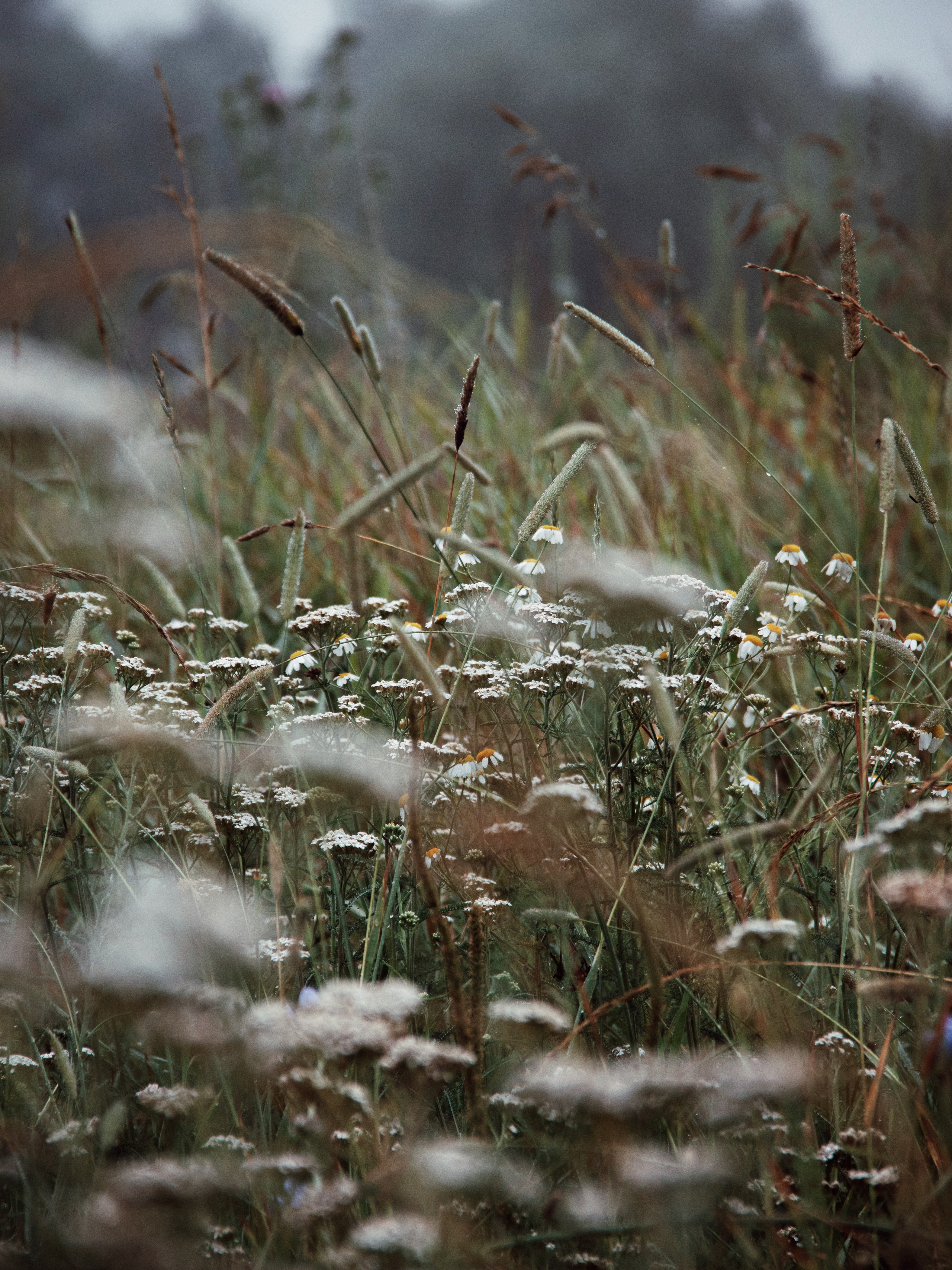 Застывшая утренняя тишина. С любовью, фотохудожник