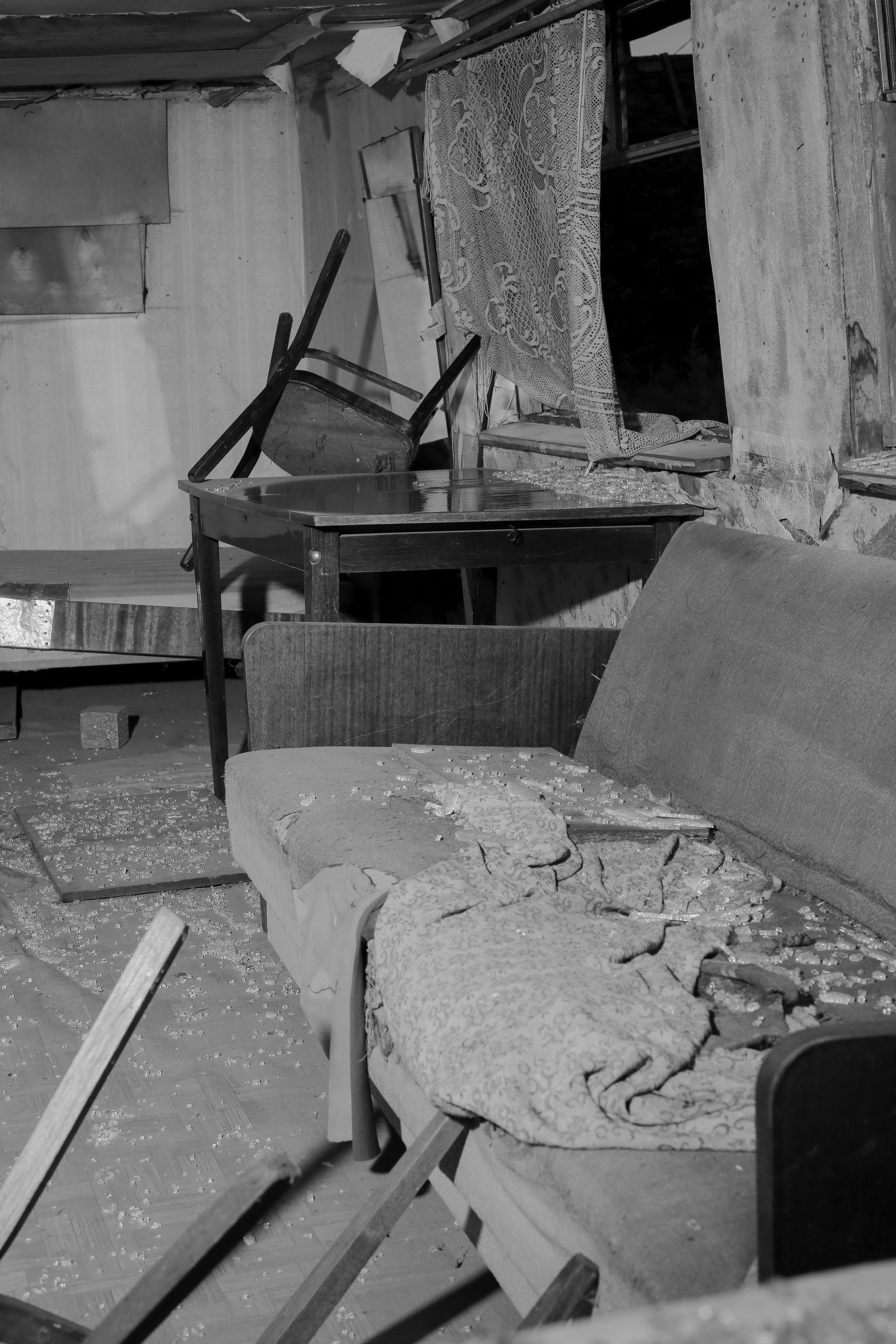 Fruits still falls from apple trees. Kristina Sergeeva