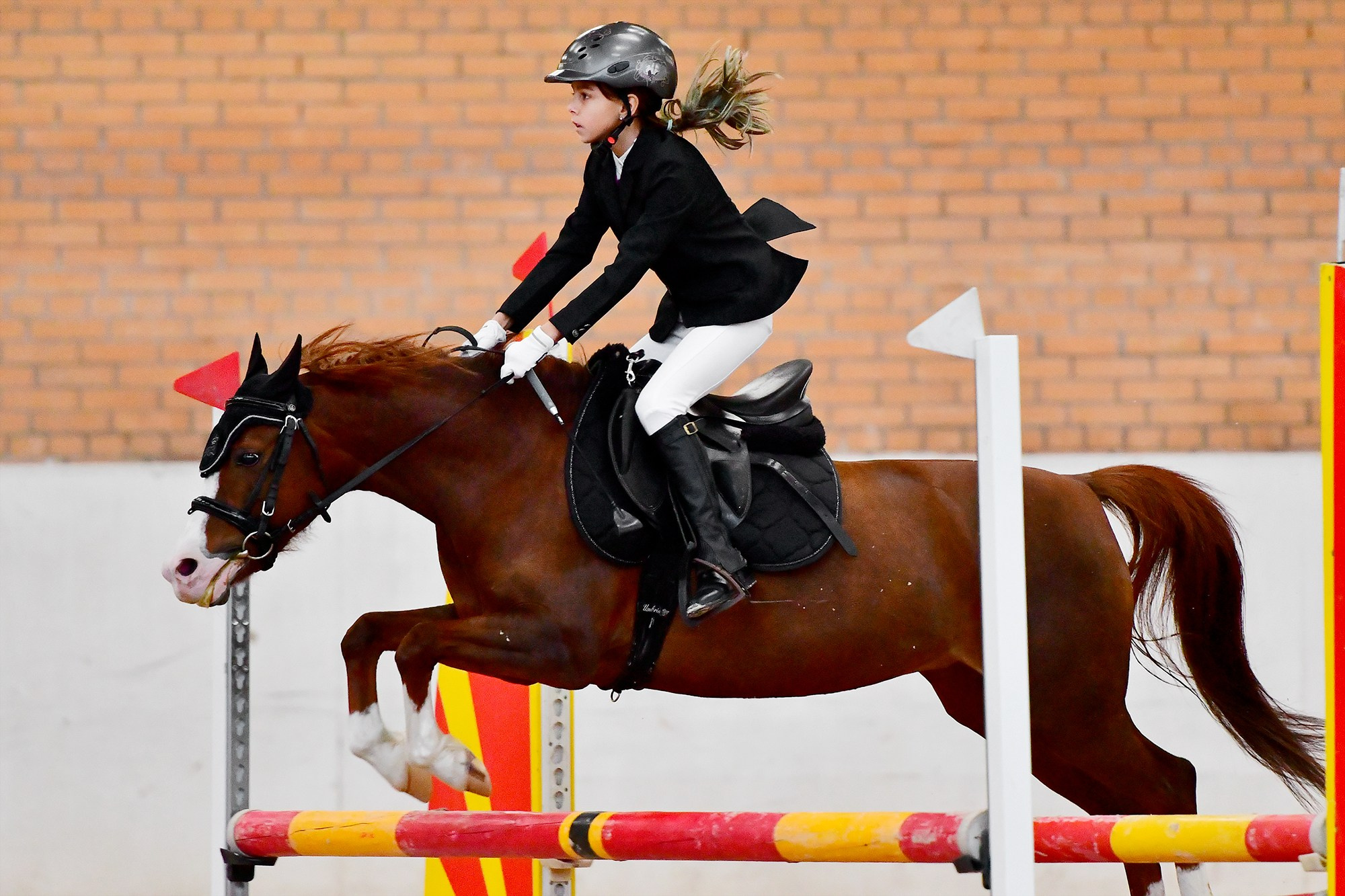 Конкур: кск «Дерби» 18 — 19.10.2025