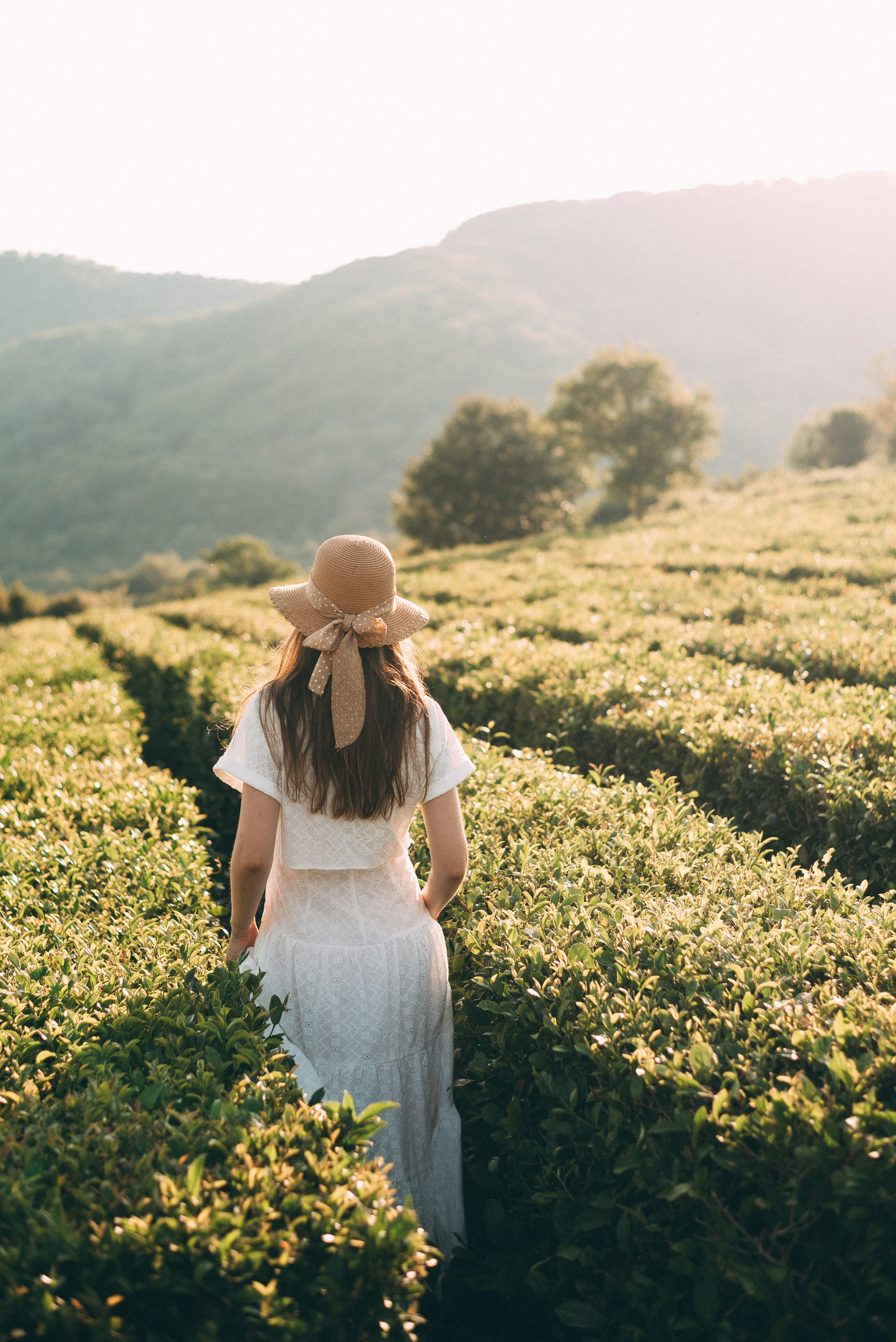 Фотосъемки в горах на чайных плантациях Сочи. Фотограф в Сочи — Маргарита Поганова