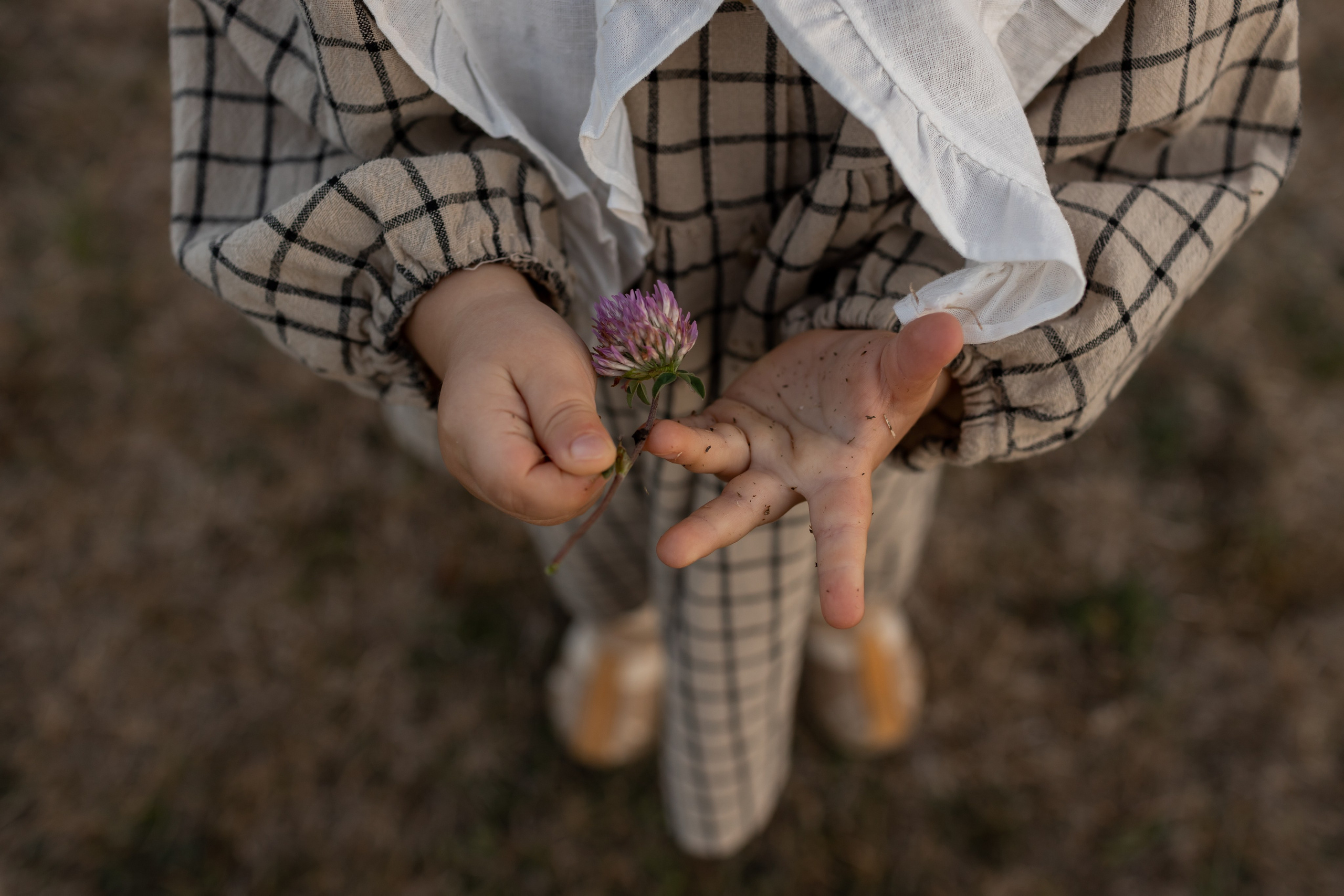 Осенняя прогулка