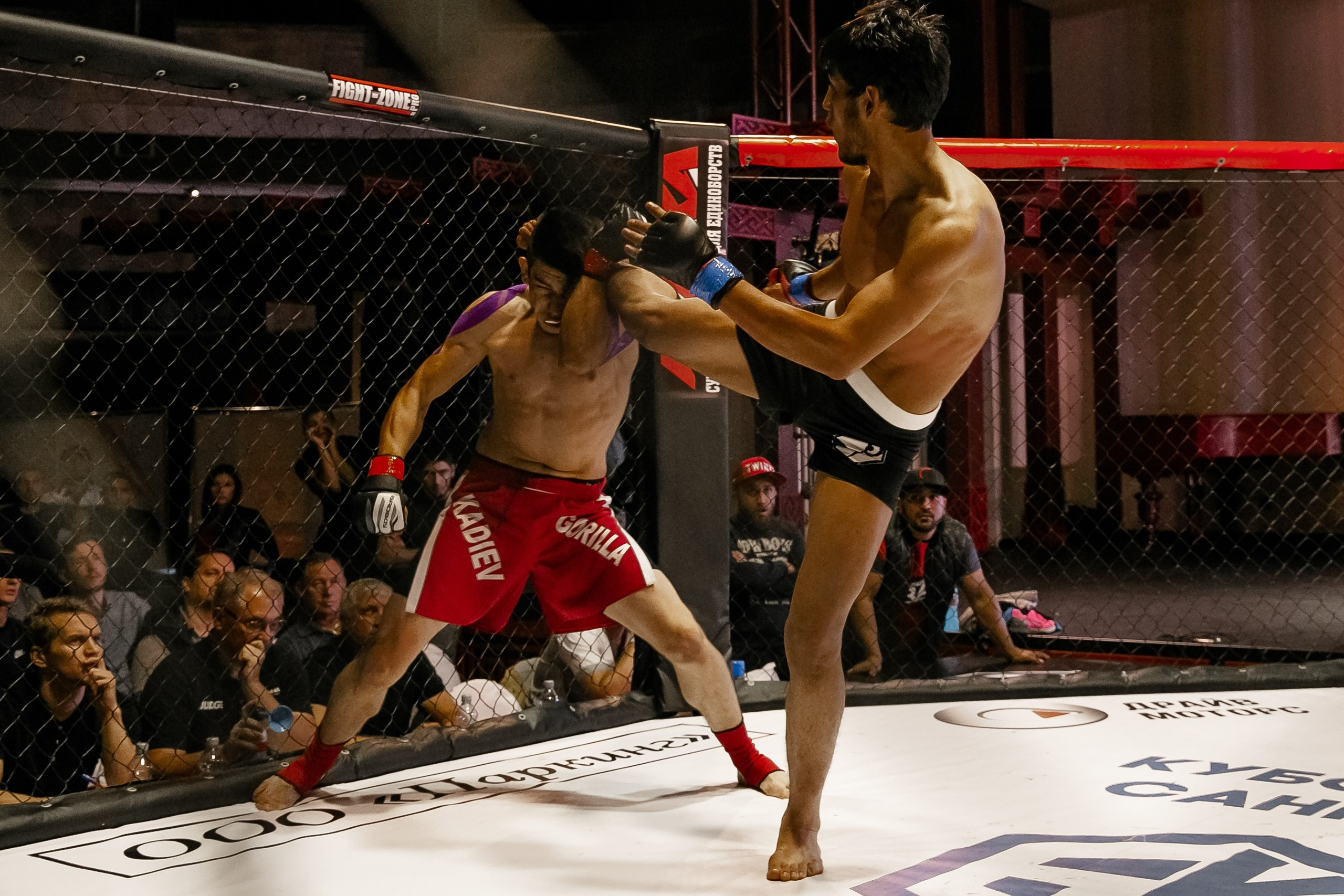 Блокировка удара ногой в лицо в октагоне MMA репортажная фотография