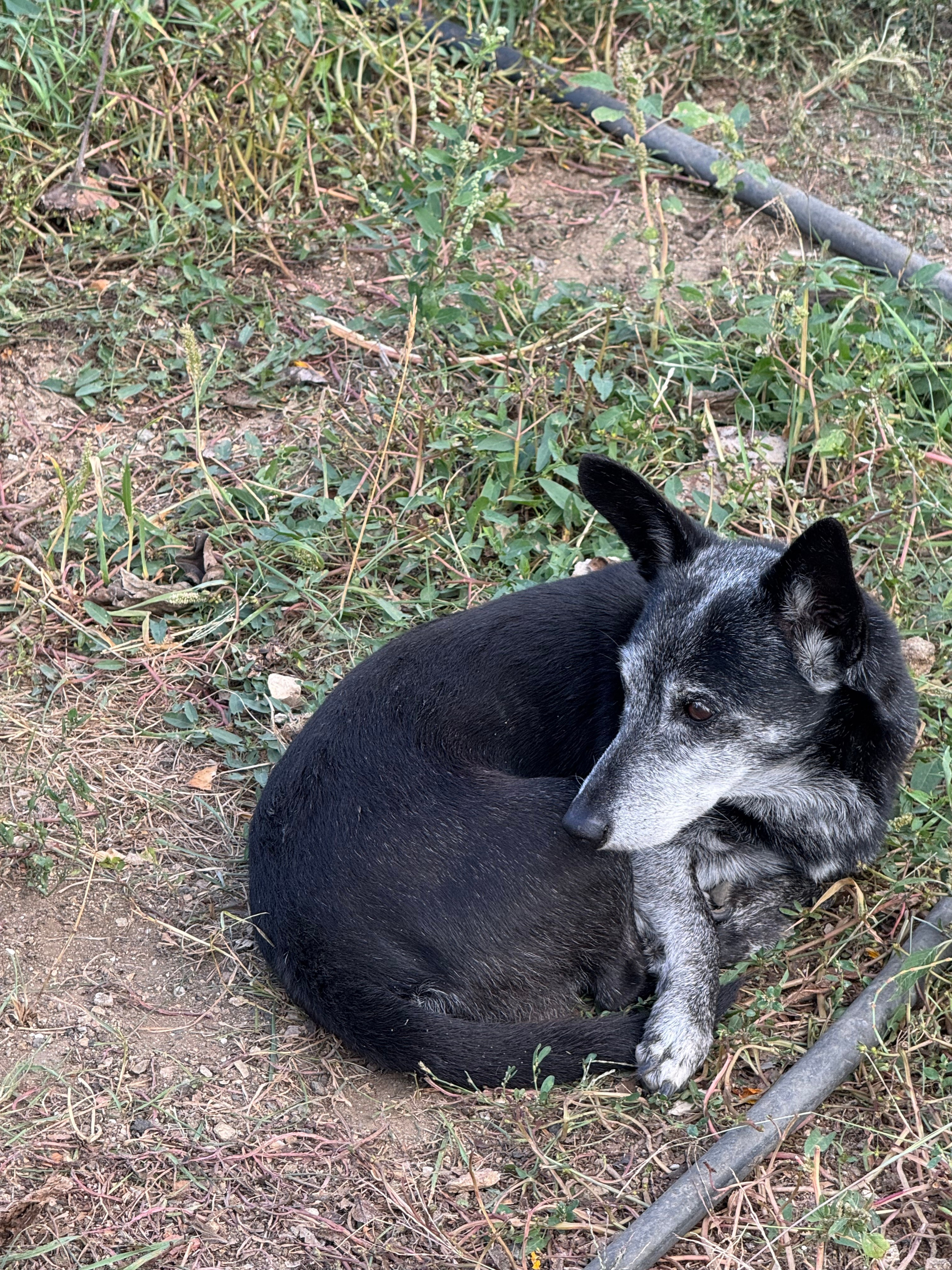 Приморское и Феодосия (2024-09-24). Собор Отрасли