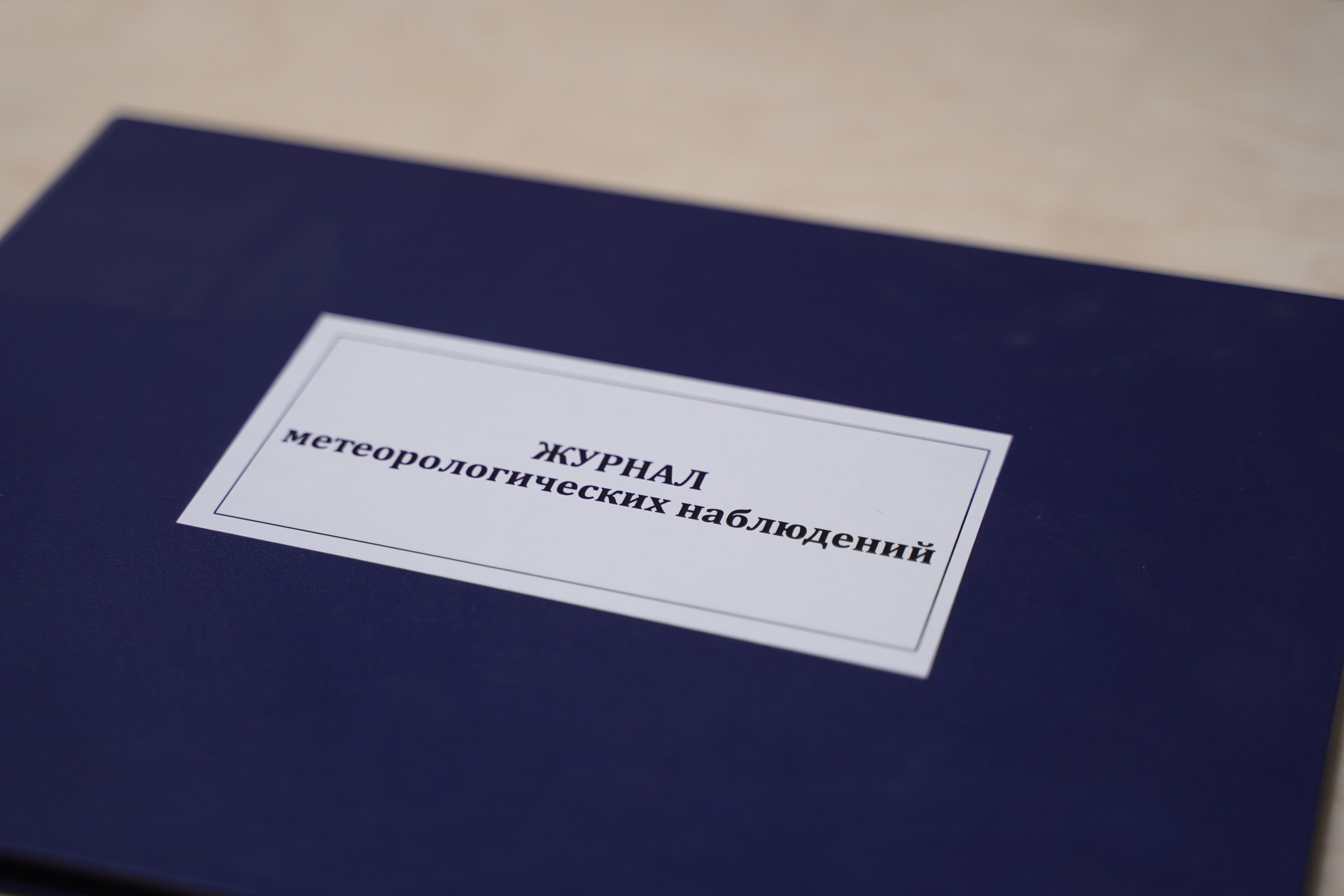 Полуденное, групповая выставка, 26.09-10.10, пространство «Союз», Тула. Лера Круглова