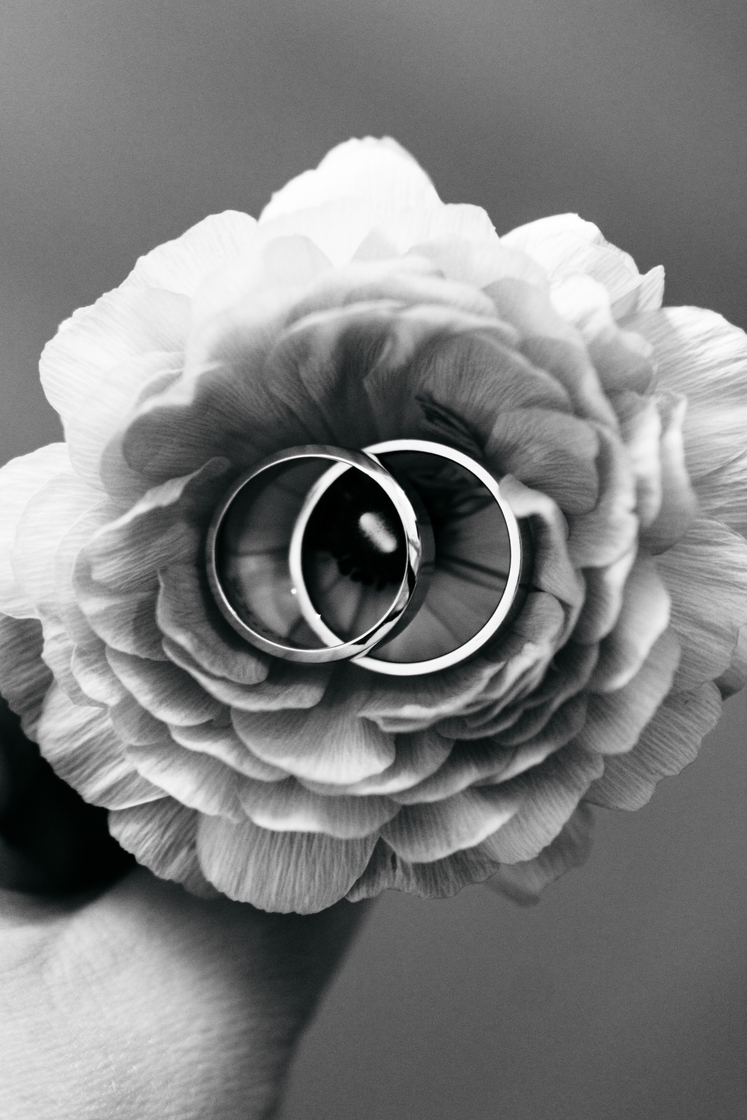 Свадебный фотограф в Ростове-на-Дону Саша Филатова