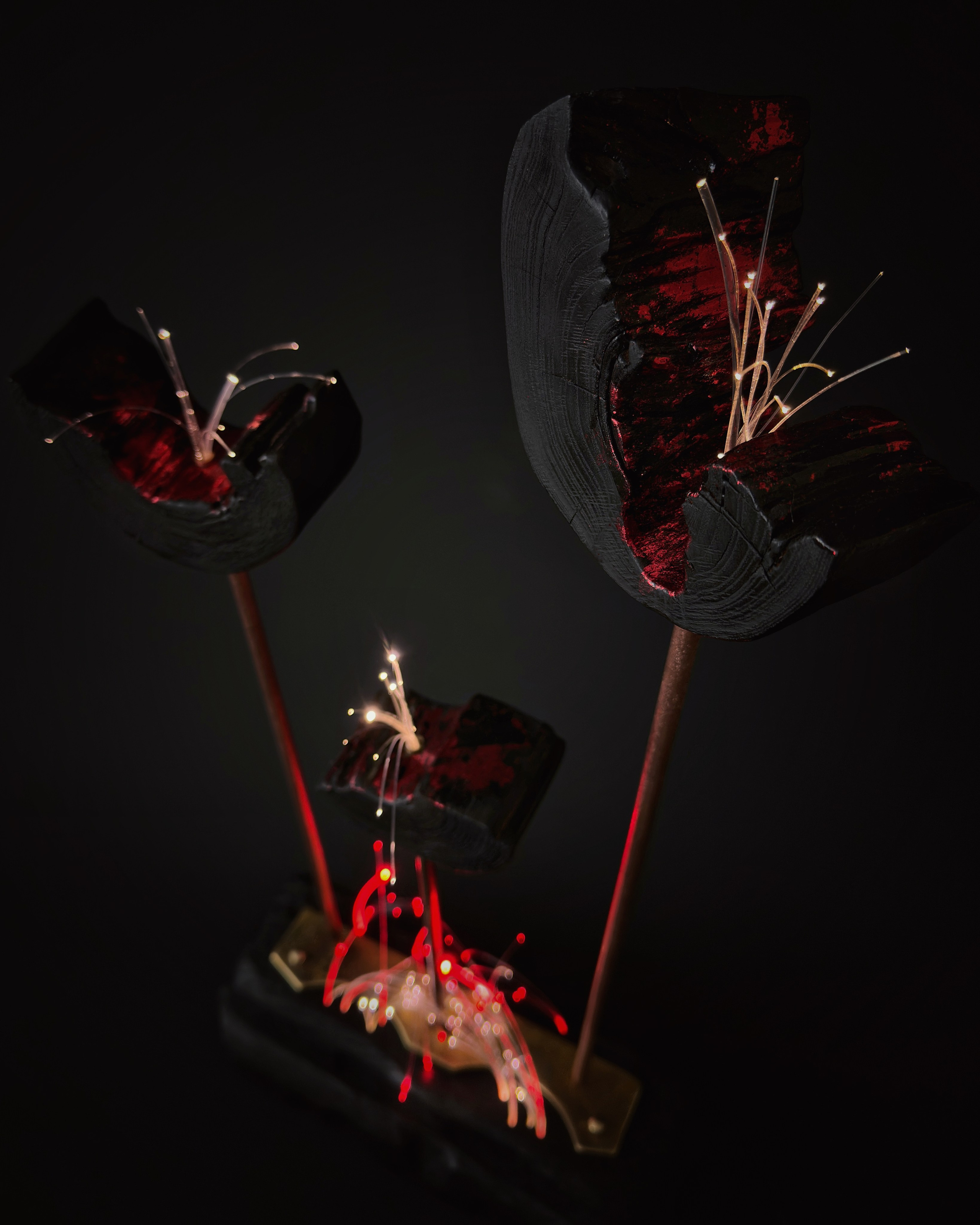 «Цветут Цветы». Арт-объекты. Коллекционный дизайн 47.XII