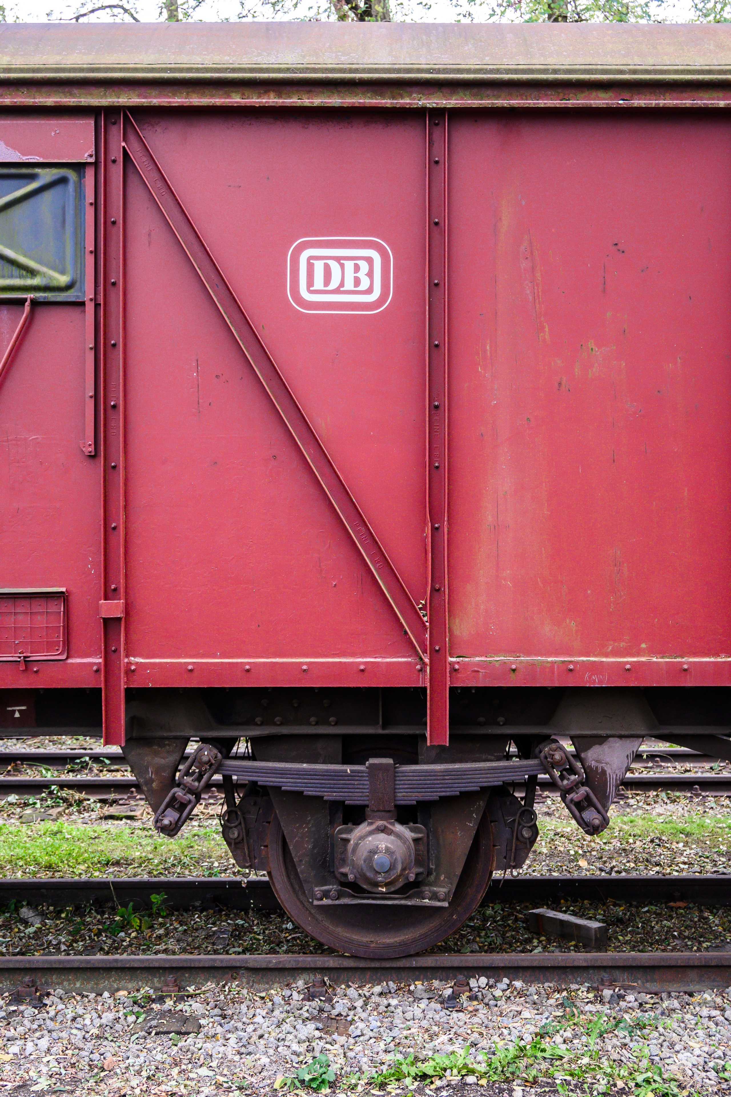 Фотограф Минск