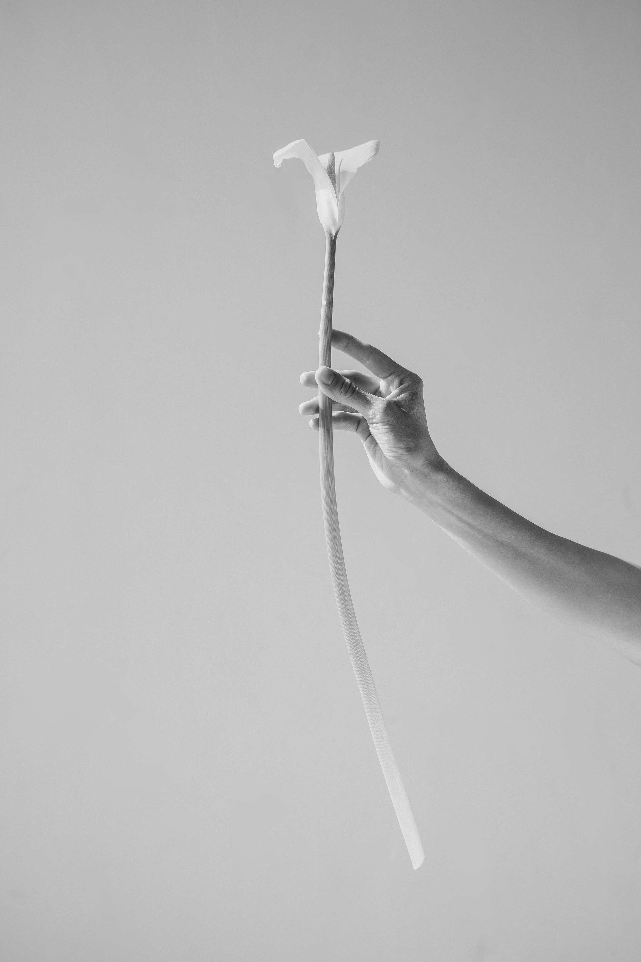 Свадебный фотограф в Сургуте