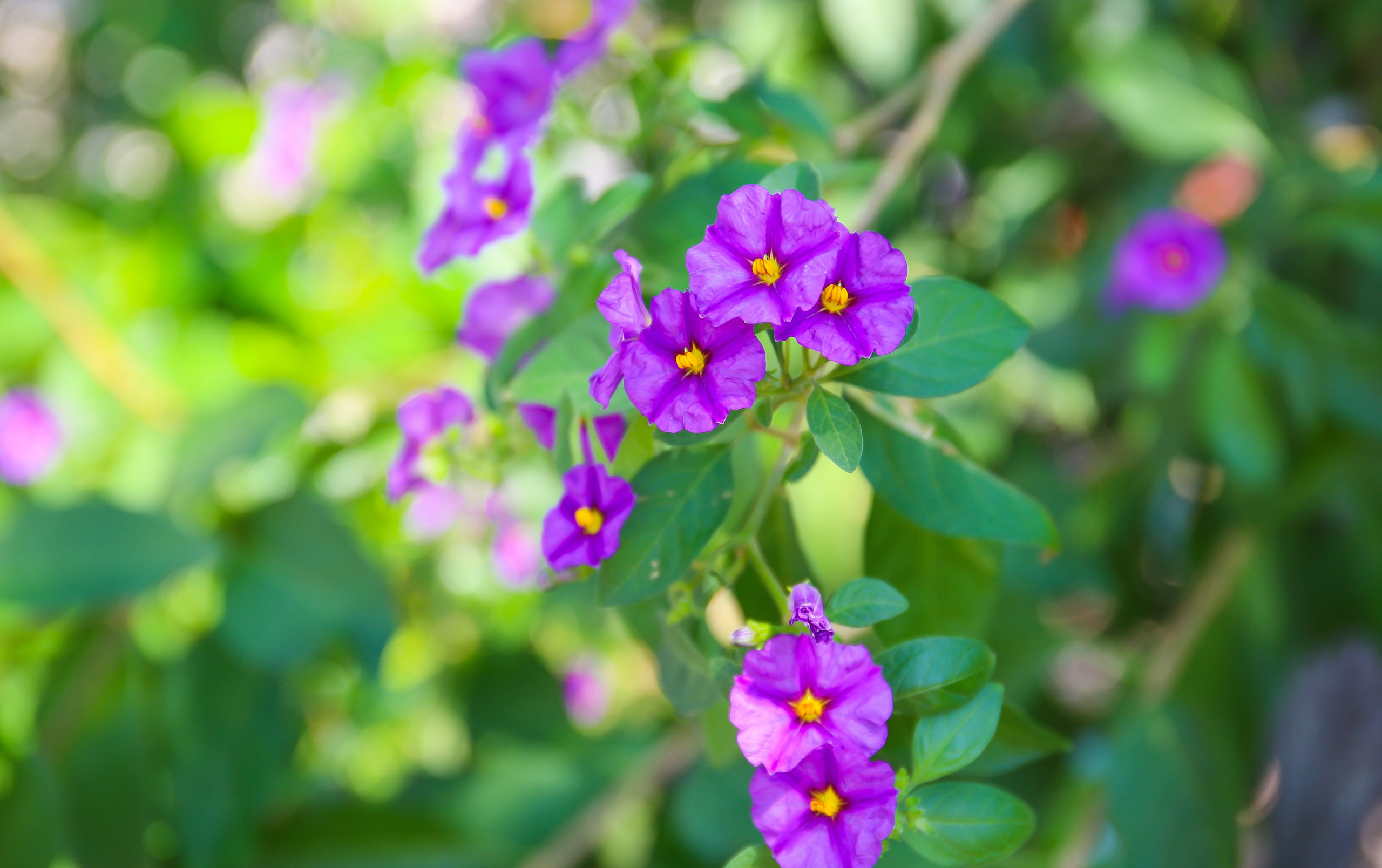 Греция: термальный курорт Лутраки. Дарья Письменюк / Darya Leitstern — фотограф, музыкант, журналист, путешественник