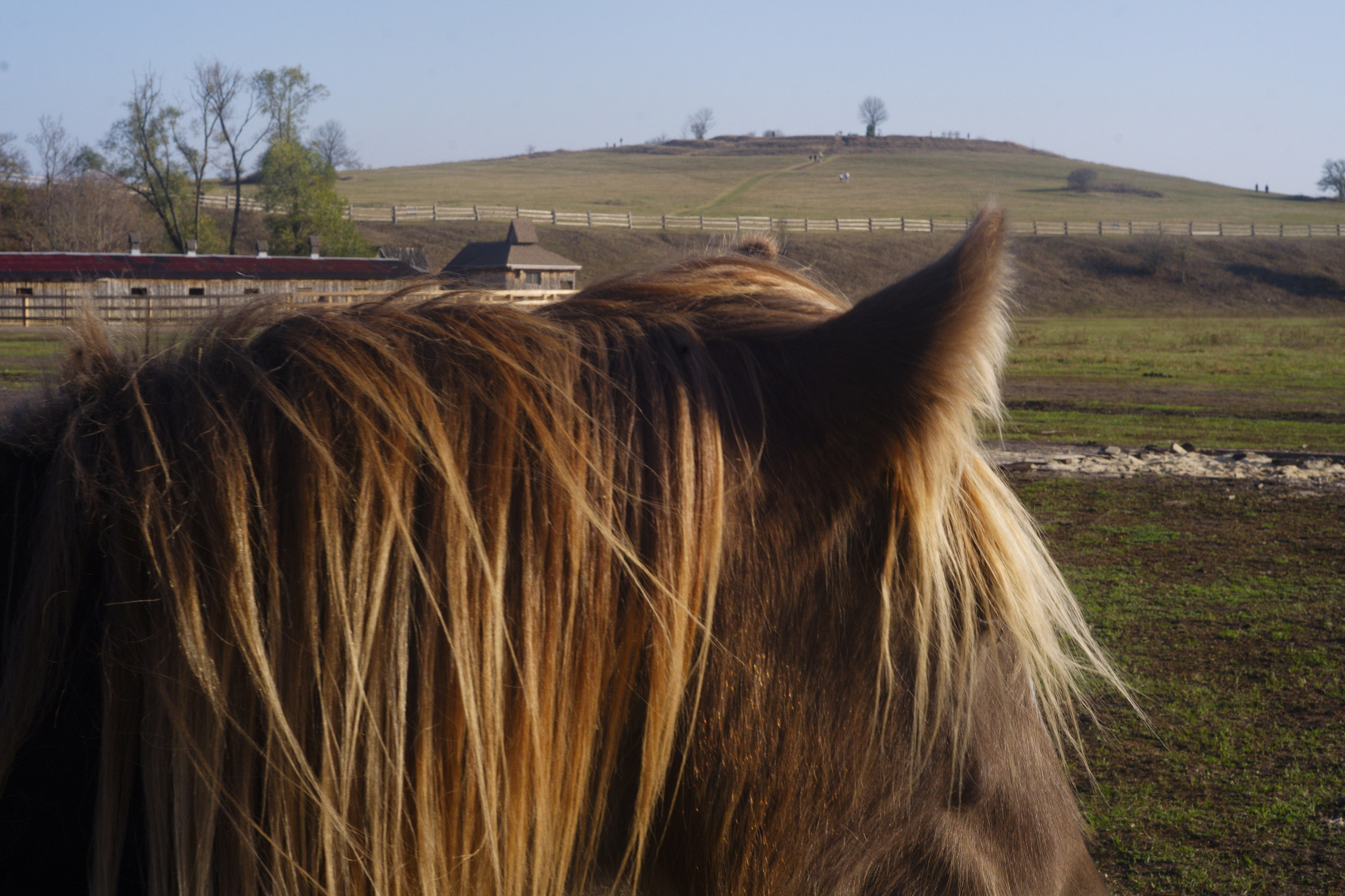 Не белое пятно. Дмитрий Ермаков. Документальный фотограф