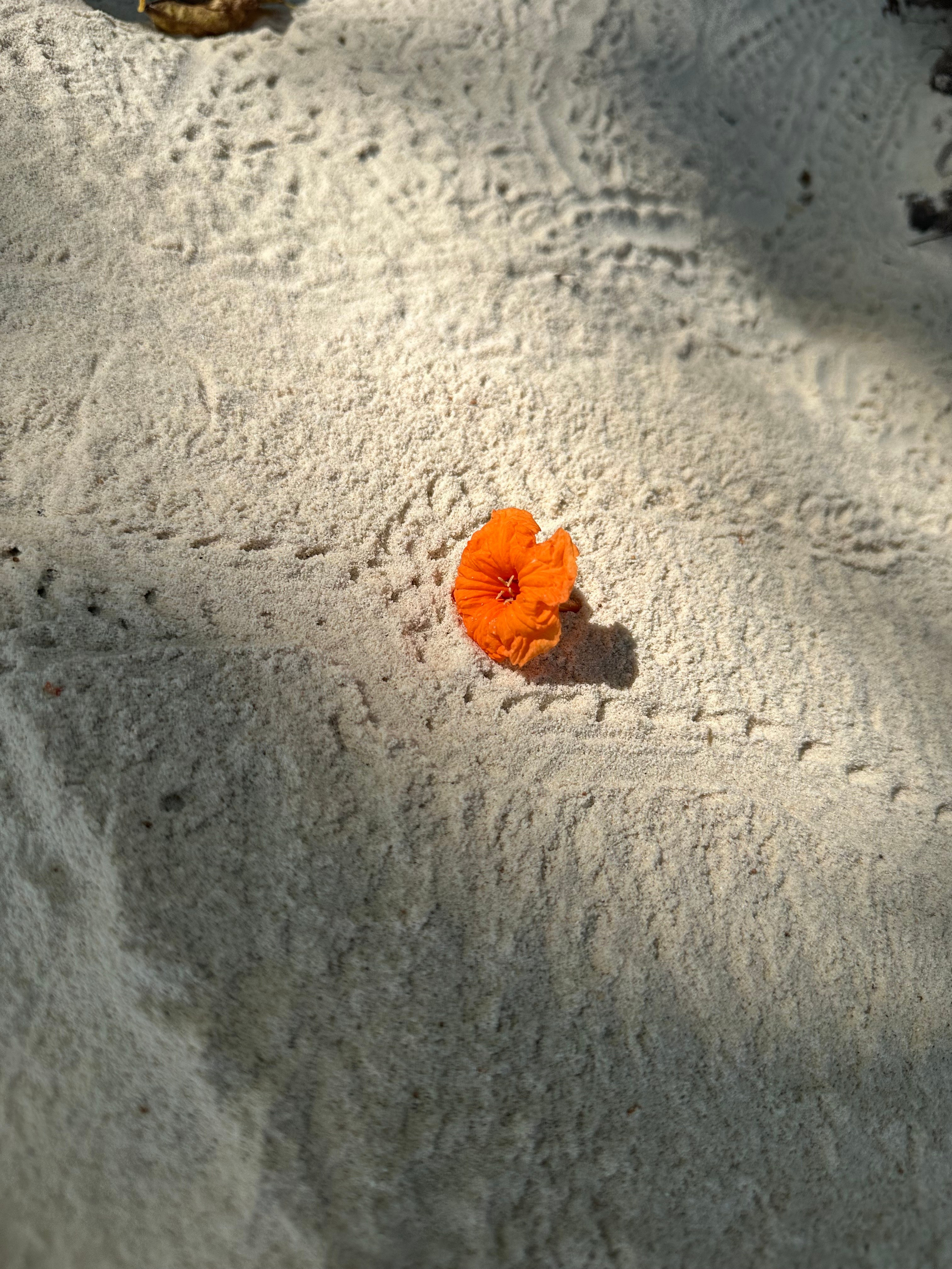 Вода. Эстет в моменте