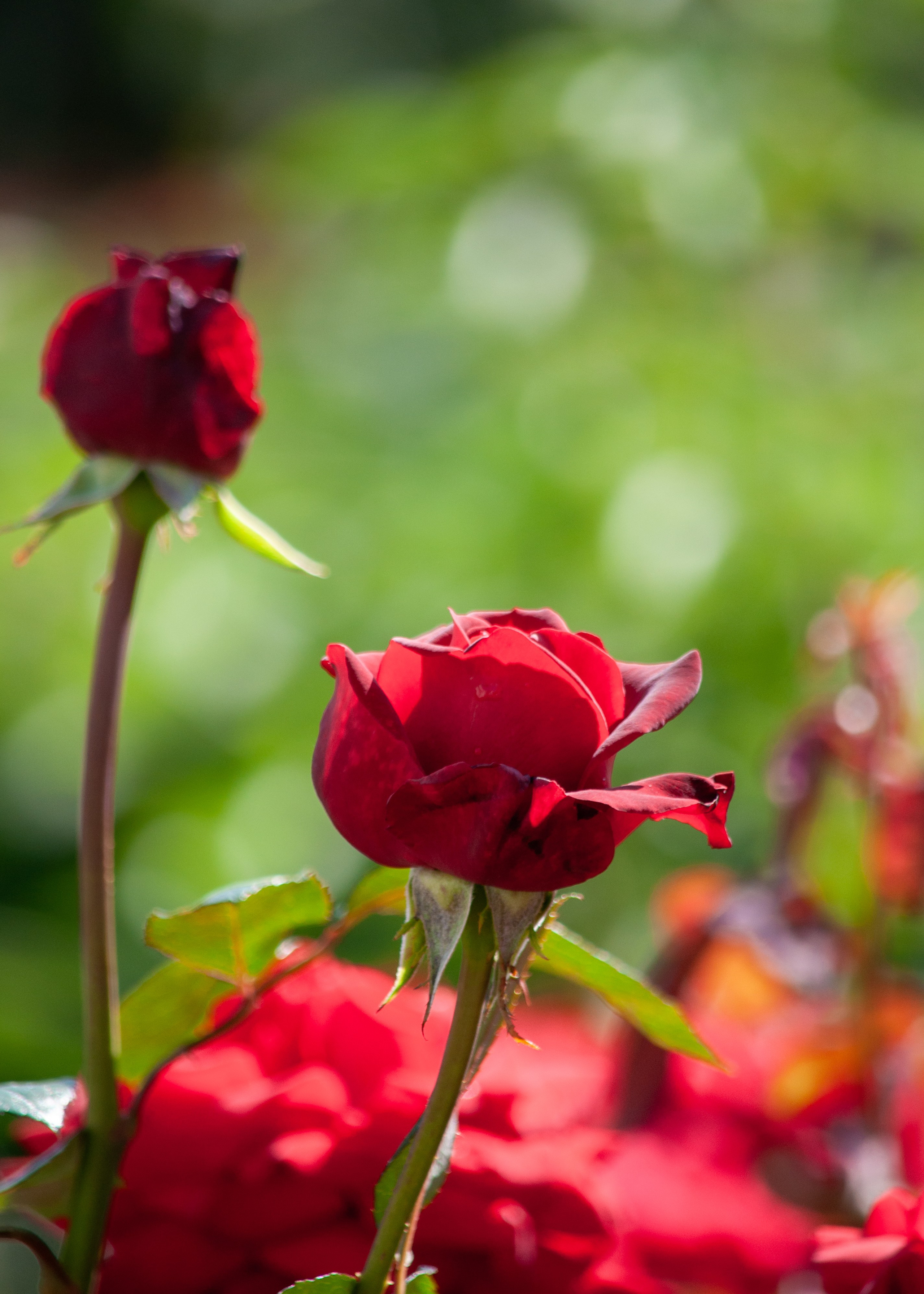 Тверская - Великая улица великого города. П&П — Полезное с Приятным. Фотоэкскурсии — Москва на память. Экскурсовод и фотограф в Москве. Увези столицу в своём альбоме!