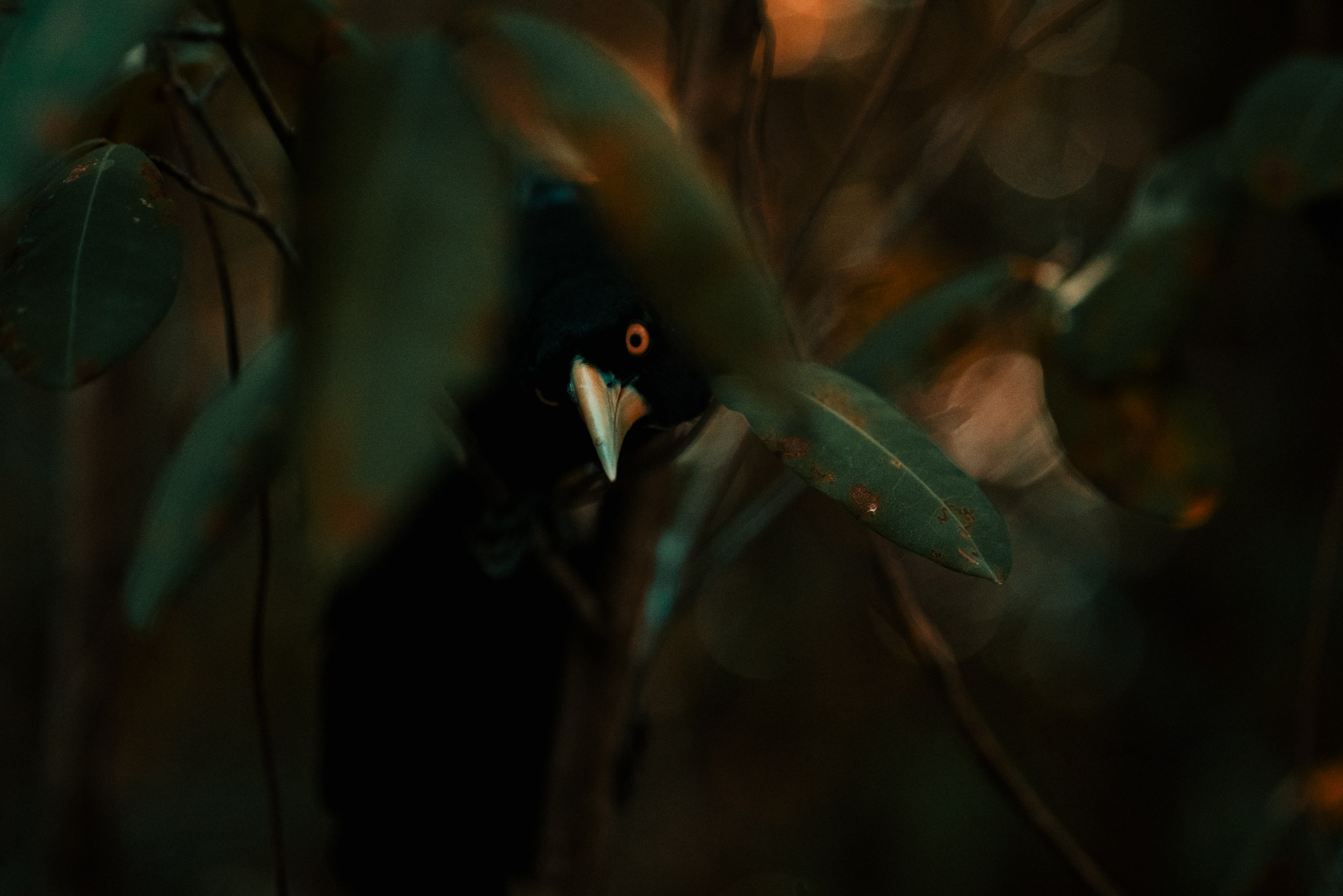 Mi Hija Mexicana. Margarita Rodionova — a contemporary lens-based artist currently working in Cancun, Mexico