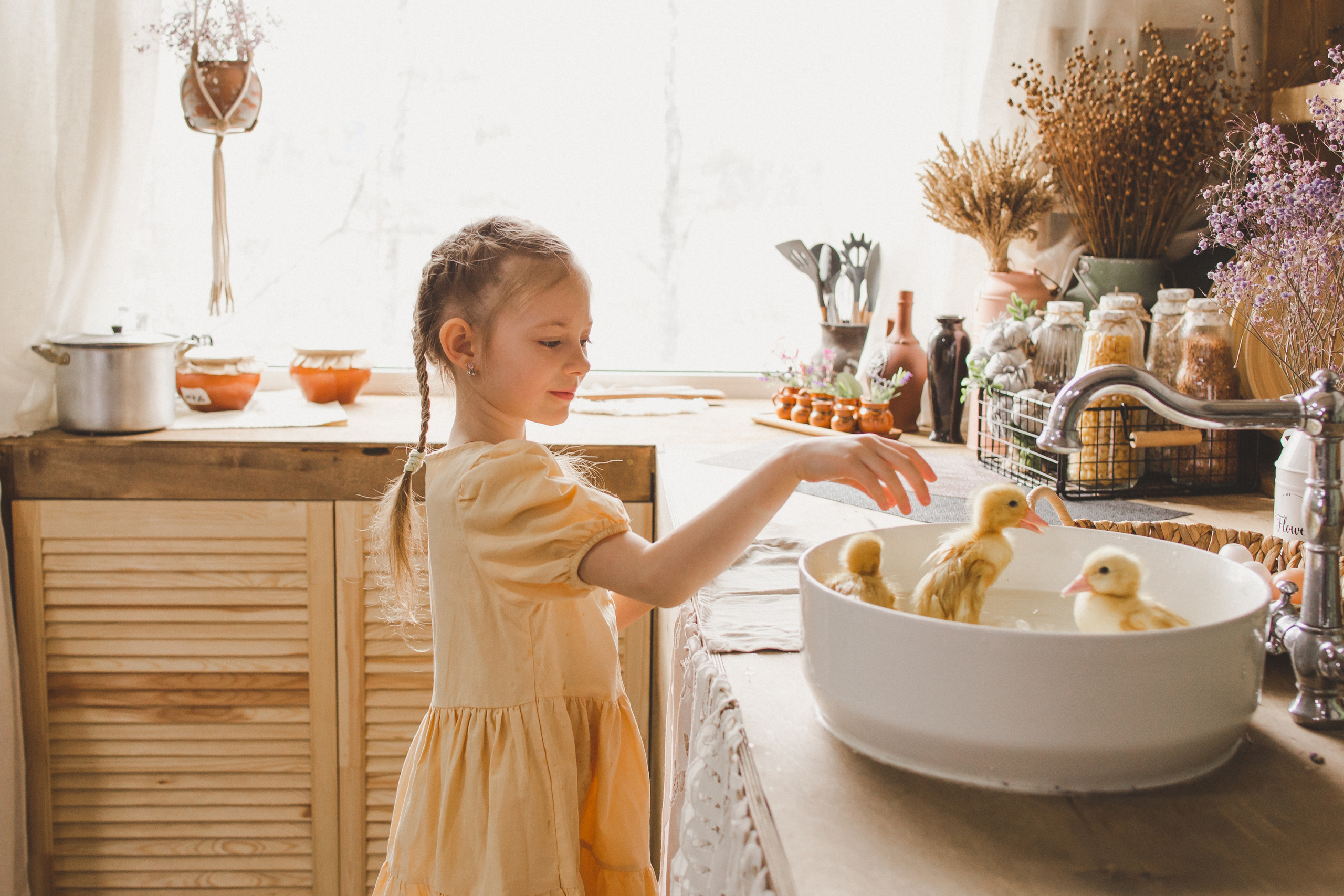 Утиные истории. Фотограф Новорожденных и беременности г. Тюмень
