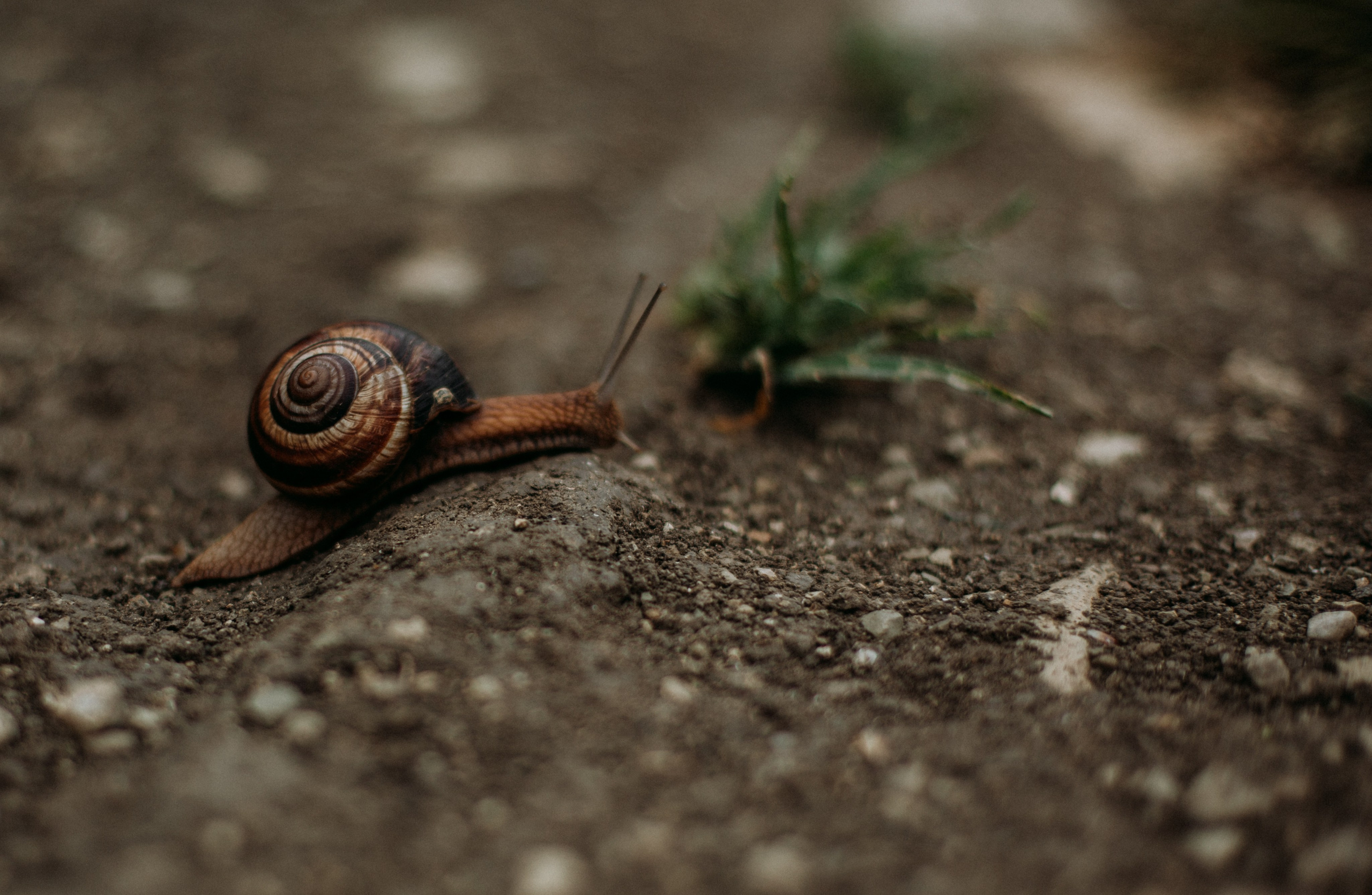 Дороги земли ветров. Портретный фотограф в Москве и Геленджике Кирилл Вахитов