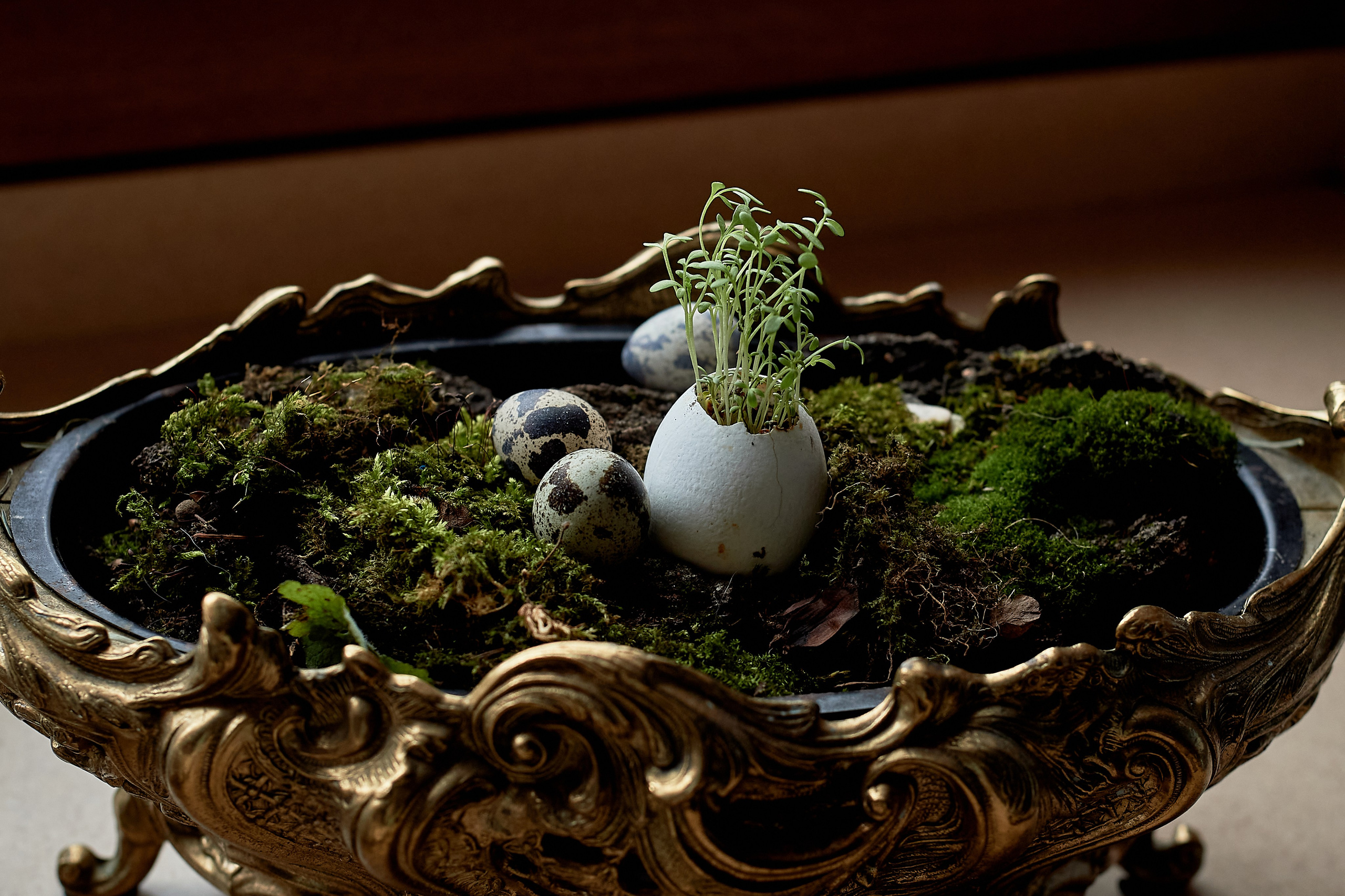 Творческая предметная фотосессия. Фотограф, психолог в Москве, Жуковском, Раменском Галина Майлер