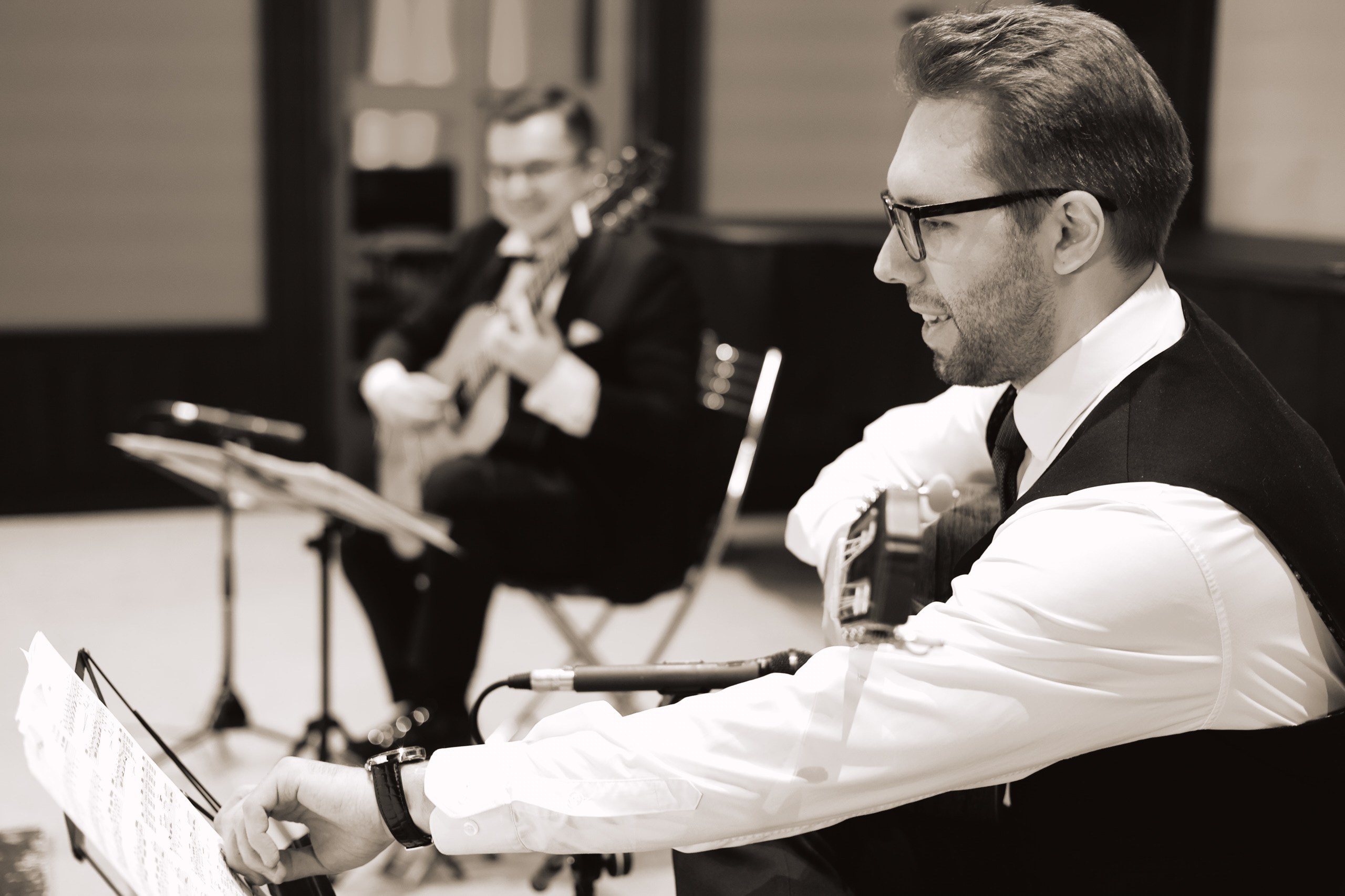 «Ночи в садах Испании» в Царицыно. Дмитрий Бородаев