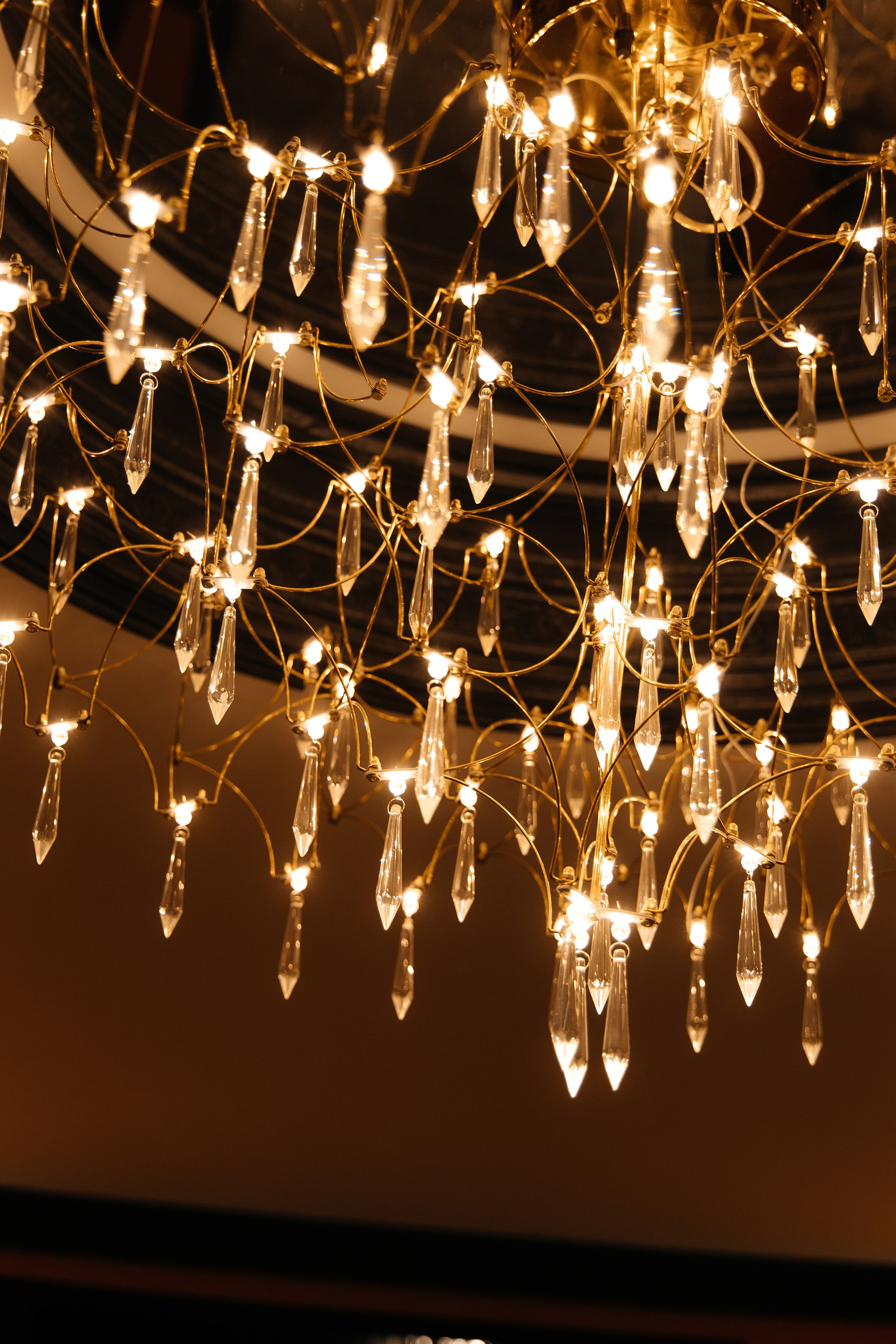 Все виды съёмок. Фотограф Таганрог Хребет София