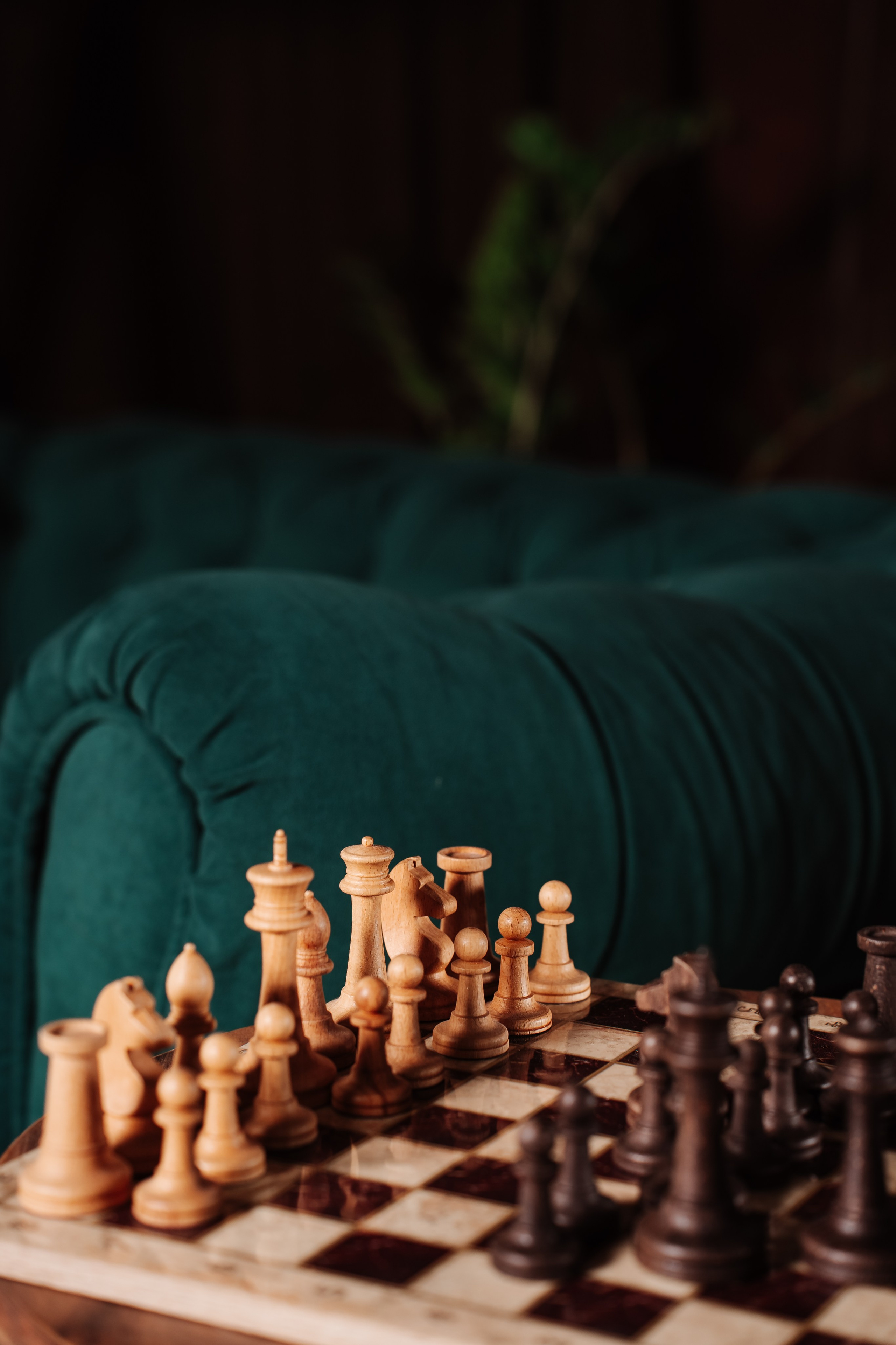 Фотостудия в центре СОЧИ, рядом с ТЦ МореМолл, все для фото и видео. Семейный фотограф в Сочи Лара Salut