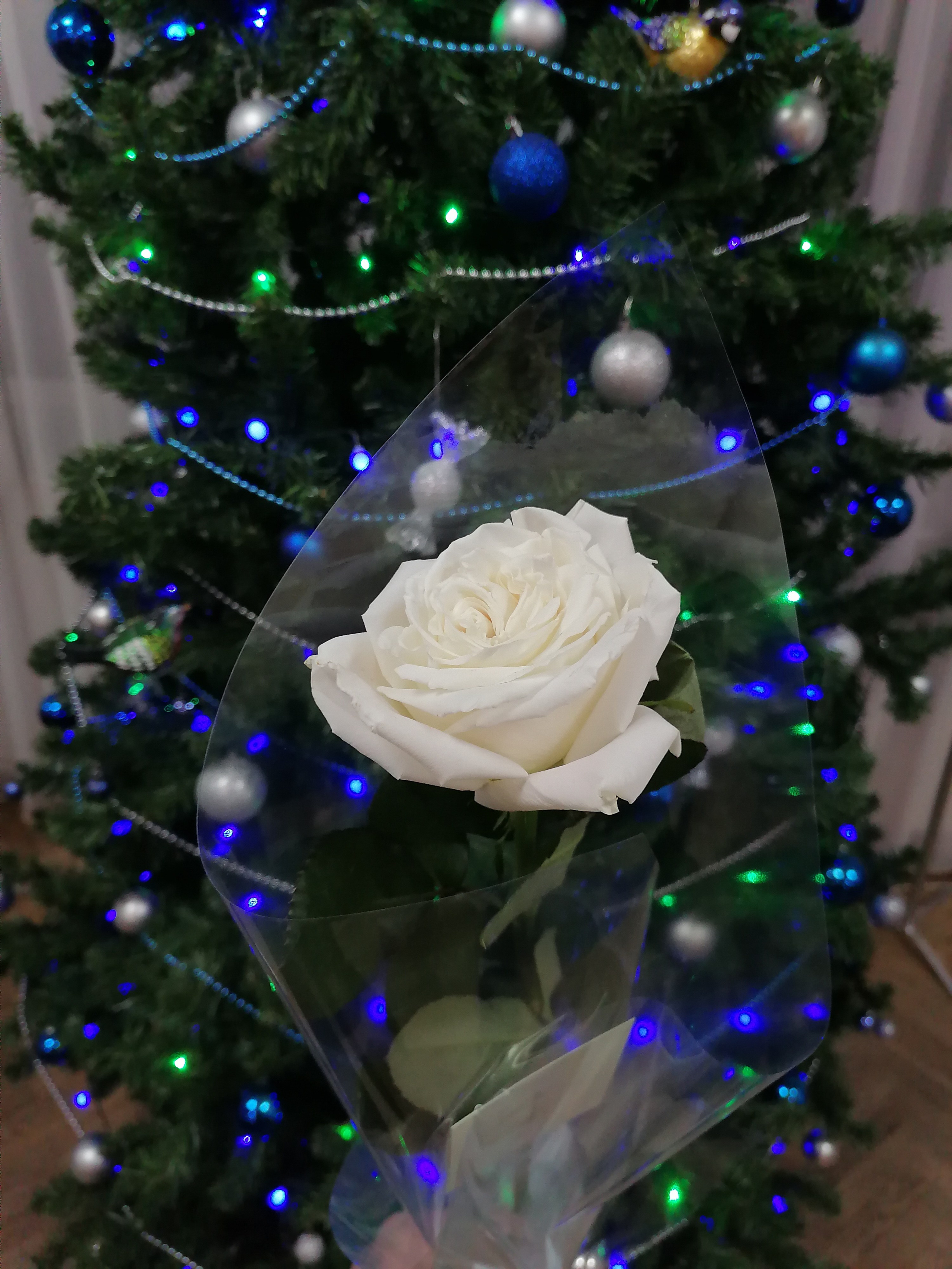 Обо мне. Денис Хрюкин, режиссёр, продюсер, контентмейкер, Санкт-Петербург, Москва