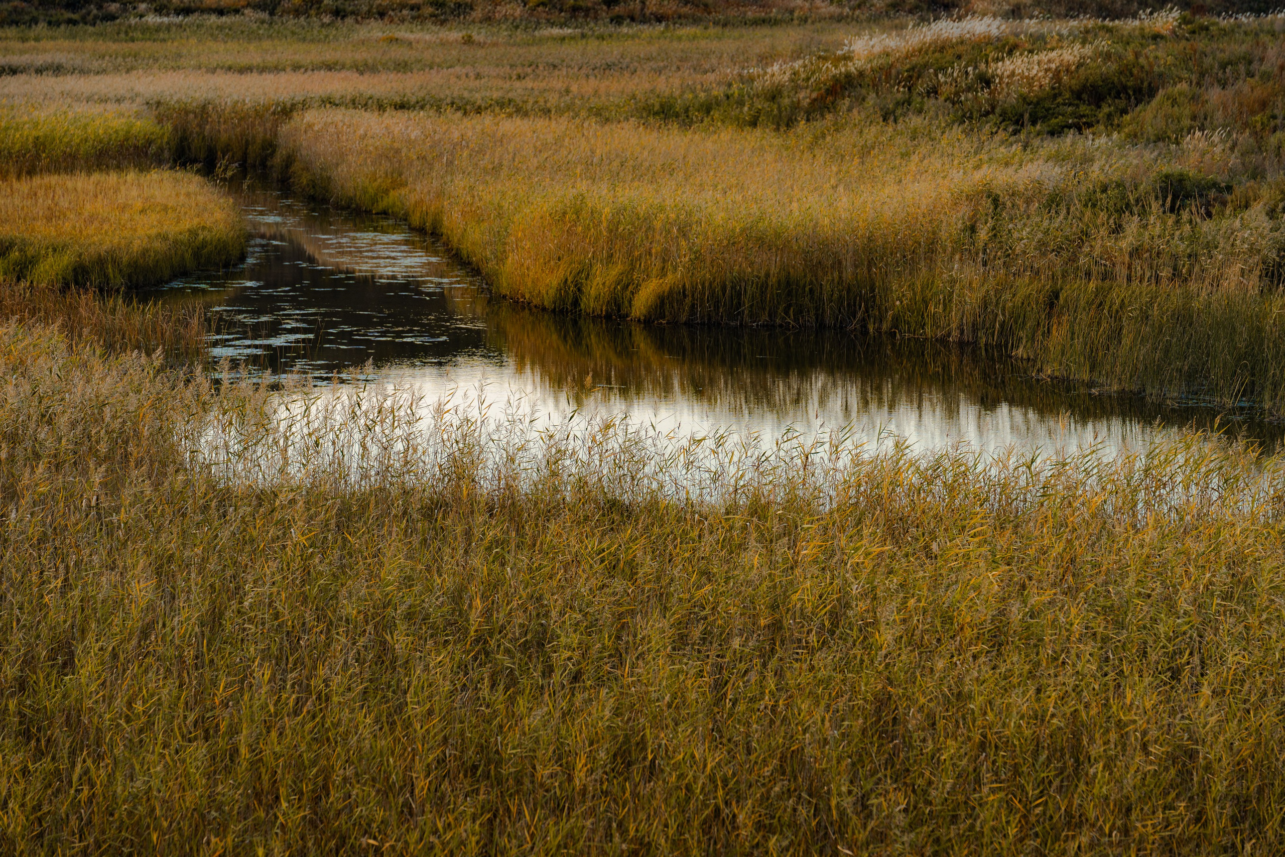 Бухта Льва | Мыс Сосновый. Иван Зайцев (IZIART) — создание культурного кода через фото и видео