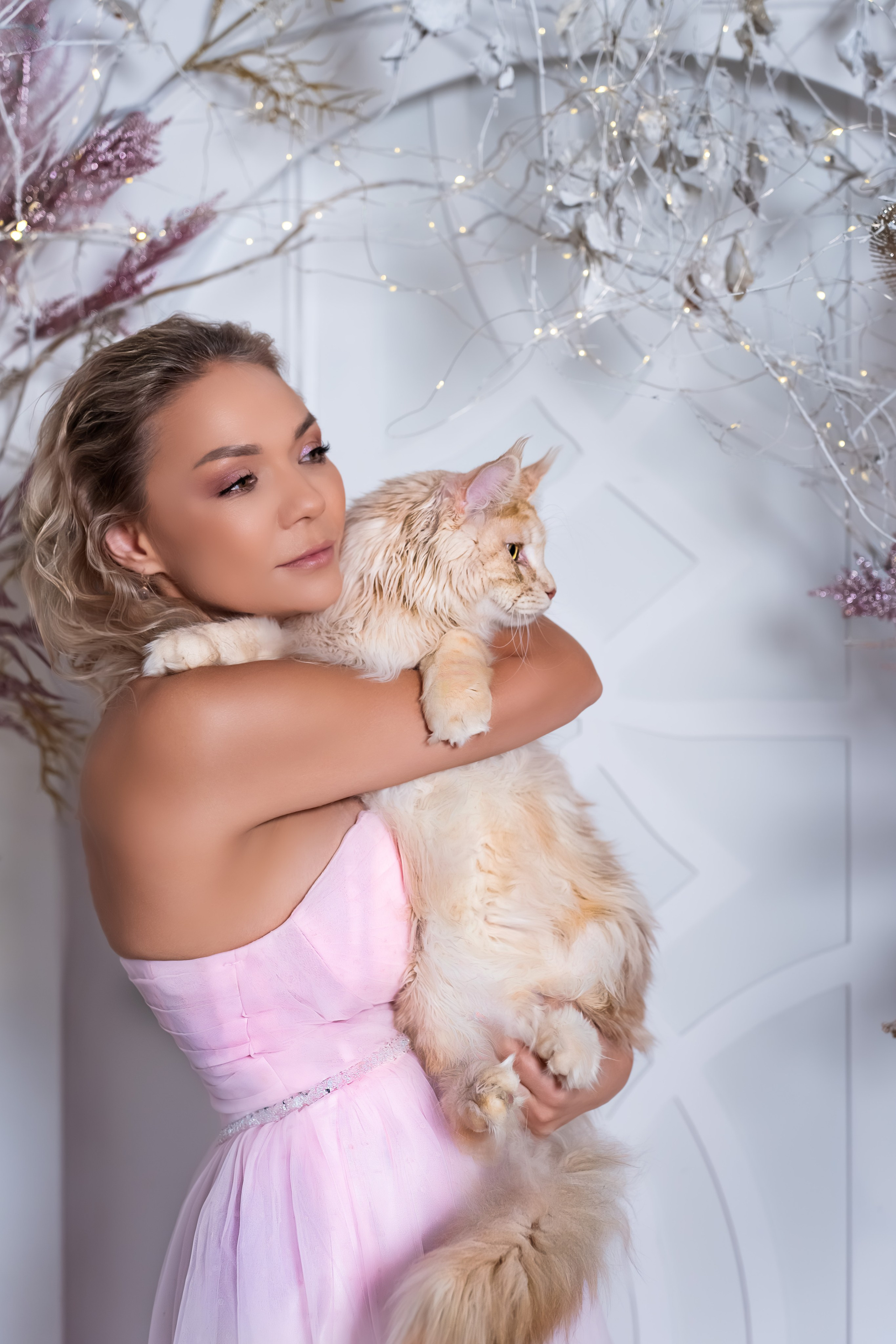 Фотосессия с котом и котятами в студии в Москве от фотографа Елены Жмельковой