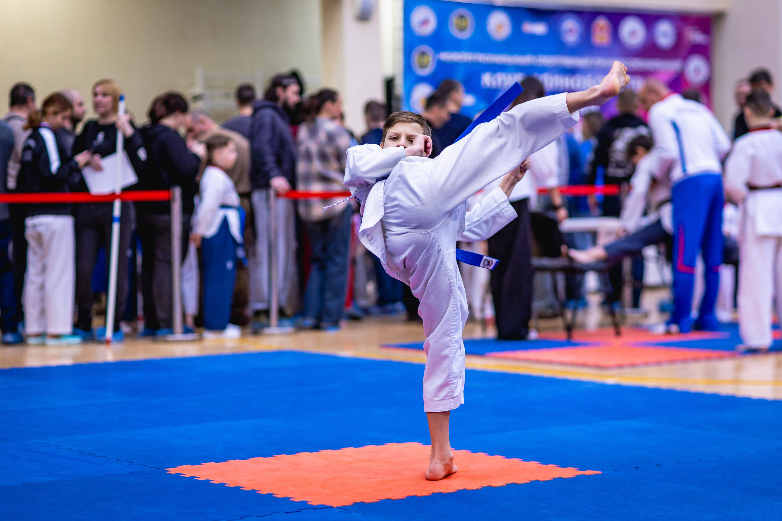 Первенство ВДЮФСОО «ФЕДЕРАЦИЯ ДЕТСКОГО ТХЭКВОНДО РОССИИ» и МОО СПКЕ «ЭРИДАН» по «СИЛОВОМУ МНОГОБОРЬЮ». Спортивный фотограф Максим Серегин