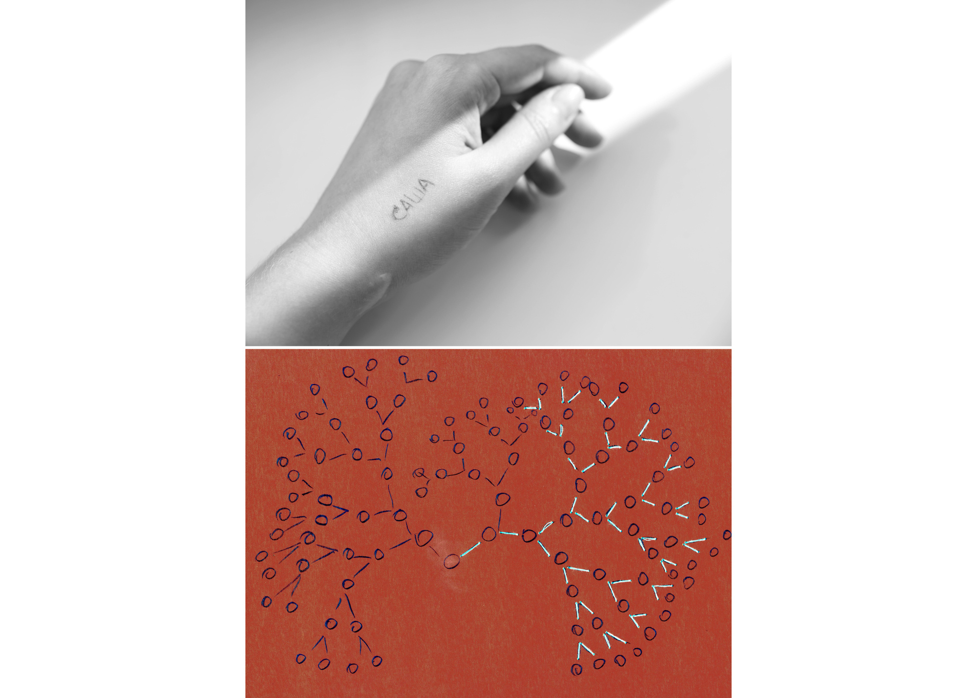 Schematic Genealogical Tree and Tattoo on the arm "Sasha"