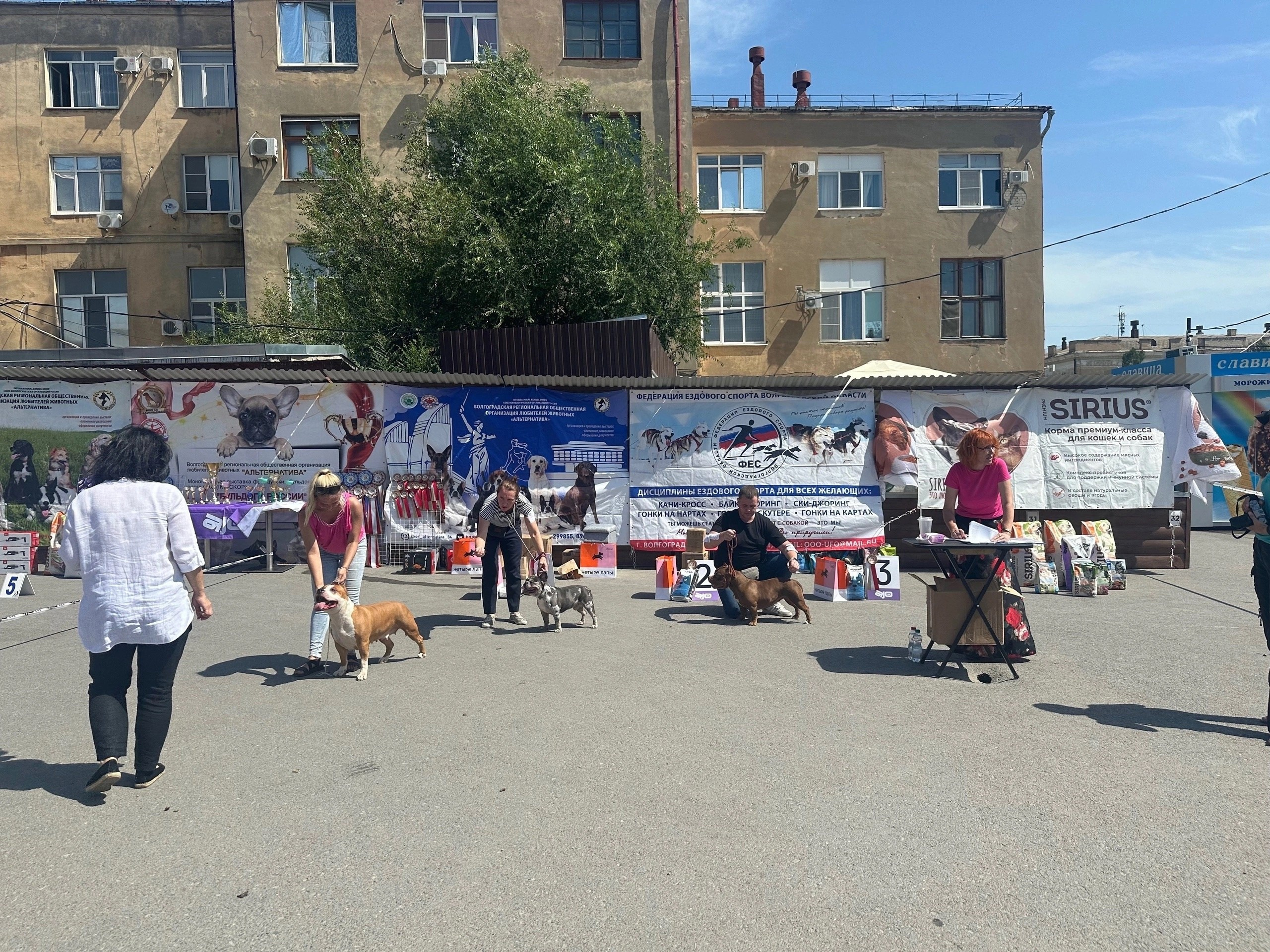 американский булли Юг, американский булли южный округ, лучшие американские булли на юге россии, топовые булли в россии, топовые американские булли в россии, ТОП булли, Топ американский булли, самые крутые американские булли, булли клаccик, булли покет, булли стандарт, булли экзот, булли xl, амeриканский булли, щенок булли, американский булли питомник, американский булли купить, американский булли щенок, американский булли москва, американский булли ростов-на-дону, американский булли краснодар, американский булли ставрополь, американский булли волгоград, американский булли семфирополь, американский булли ставрополь, американский булли сочи, американский булли воронеж, американский булли питер, американский булли санкт-петербург, американский булли Казань, американский булли Новосибирск, американский булли Челябинск, американский булли Ростов, американский булли Луганск, американский булли Донецк, американский булли покет, американский булли классик.американский булли ,американский булли щенки , американский булли купить ,американский булли фото , американский булли покет , собака американский булли , порода американский булли , американский булли цена , купить щенка американского булли ,американский булли характеристика , порода собак американский булли, питомник американских булли , американский булли отзывы, американский булли стандарт , американский булли отзывы владельцев, американский булли xl , россия американские булли , американские булли москва , американский булли вес , американский булли цена щенка, американский булли породы собак сша , американский булли размеры , американский булли классик , американский булли классика , американский булли характеристика породы , авито американский булли , сколько стоит американский булли , окрасы американских булли , американский булли виды , американский булли типы , американский булли цена в россии , американский булли экзот , американский булли микро , американский булли мини , собака американский булли фото , американский булли спб , американский булли характер , минусы американского булли , купить американского булли в москве , американские булли сколько щенков , плюсы американского булли , американский булли плюсы и минусы , взрослый американский булли , американский булли фото цена , американский булли фото щенков , американский булли крым , сколько живут американские булли , американский булли описание , американский булли купить авито , американский булли ростов , собачий питомник , питомник для собак , собаки , порода , щенки, щенок для детей, щенок для ребенка, щенок для семьи, собака для ребенка, питомник BULLY LOVERS, питомник THE POWER OF SIBERIA, питомник Ultimate Bully, питомник FORTIS FORTUNA VALIDI, питомник EXTREME BEAR, питомник American Dream, Питомник RUSSIAN BULLS, питомник ТАРУС & BULLY LAND, питомник Bully Ranch P&N, Питомник ANTREABULLS, питомник Ambully House, питомник Mar Nero, питомник Alfabulls, #micro #microbully #ambully #ambullys #ambullylife #ambullyforlife #ambullyworld #ambullylove #ambullylover #ambullylovers #ambullyloversfans #americanbullybreed #americanbullykennelclub #американскийбуллипитомник #bullies #bulliesallday #bulliesofig #bulliesofinsta #bulliesofinstagram #instabullies #bullieslife #bullymag #americanbully_feature #americanbullydog #tribullies #americanbullyblue #americanbullytricolor #bullystick #americanbullyStud, американский булли,американский булли щенки,американский булли купить,американский булли покет,американский булли фото,собака американский булли,порода американский булли,американский булли цена,американский булли купить щенка,американский булли характеристика,порода собак американский булли,американский булли отзывы,питомник американских булли,американский булли стандарт,американский булли отзывы владельцев,россия американские булли,американский булли виды,американский булли цена щенка,сколько стоит американский булли,американский булли цена в россии,американские булли москва,американский булли xl,американский булли размеры,типы американских булли,американский булли мини,американский булли вес,авито американский булли,американский булли породы собак сша,американский булли микро,американский булли характеристика породы,американский булли экзот,американский булли классик,американский булли классика,собака американский булли фото,американский булли характер,минусы американского булли,американские булли спб,американский булли окрасы,американский булли купить в москве,американские булли сколько щенков,плюсы американского булли,американский булли видео,американский булли плюсы и минусы,американский булли щенок фото,взрослый американский булли,американский булли девочка,американский булли описание,сколько живут американские булли,американский булли покет купить,американский булли крым,american bully,american bully ru,american bully ru shchenki,https american bully ru,https american bully ru shchenki,american bully xl,american bully питомник,american bully dog,american bully kennel,american dream bully,american bully pocket,american bully kennel club,all american bully фильм смотреть,american bully xxl,reddit american bully,american bully ru shchenki html,american bully wise,celina innovations crochet american bully part,https american bully ru shchenki html,american bully classic,питомник американских булли,питомник собак американский булли,питомник американских булли в крыму,питомник собак в крыму американские булли,питомник в крыму американский булли последние,питомник американских булли в москве,американские булли купить питомник,питомник американских булли в россии,питомник американских булли покеткупить щенка американский булли питомник,американские булли цена питомники,питомник американских булли в спб,питомник американских булли яна,купить американского булли в москве питомник,питомник американских булли в москве и московской,официальные питомники американских булли,крым питомник американских булли яна,булли американский купить питомник цена,москва и область питомники американских булли,питомник американских булли яна и гоша,американские булли подмосковья питомник,американский булли стандарт питомник,питомник американских булли екатеринбург,питомник американских булли ростов,лучшие питомники американских булли,питомник собак крым американский булли яна,яна питомник собак американский булли,американский булли купить в спб питомник,американский булли питомник львиное сердце уфа,американский булли питомник львиное сердце уфа вк,американский булли лучший питомник россии,американский булли питомник краснодар,американский булли купить спб щенка питомник,американский булли покет питомник москва,американский булли сайт питомник,питомник американский булли официальный сайт,питомник американских булли в челябинске,питомники американских булли в россии список лучших,питомник собак американских булли серпухов,питомник собак дзен американский булли,американский булли xl питомник,питомник американских булли в талдоме,питомник и цена американ американский булли,фаворит гигант питомник американских булли,американский булли купить,американский булли купить щенка,американский булли купить в москве,американский булли покет купить,американский булли купить щенка в москве,американский булли купить авито,купить американский булли цена,купить американского булли в спб,купить собаку американский булли,американский булли купить щенка цена,американский булли покет купить щенка,американский булли купить в беларуси,американский булли стандарт купить,американский булли купить москва московская область,купить американского булли в россии,купить американского булли в московской области,американский булли купить в екатеринбурге,американский булли купить в новосибирске,американский булли купить щенка в спб,