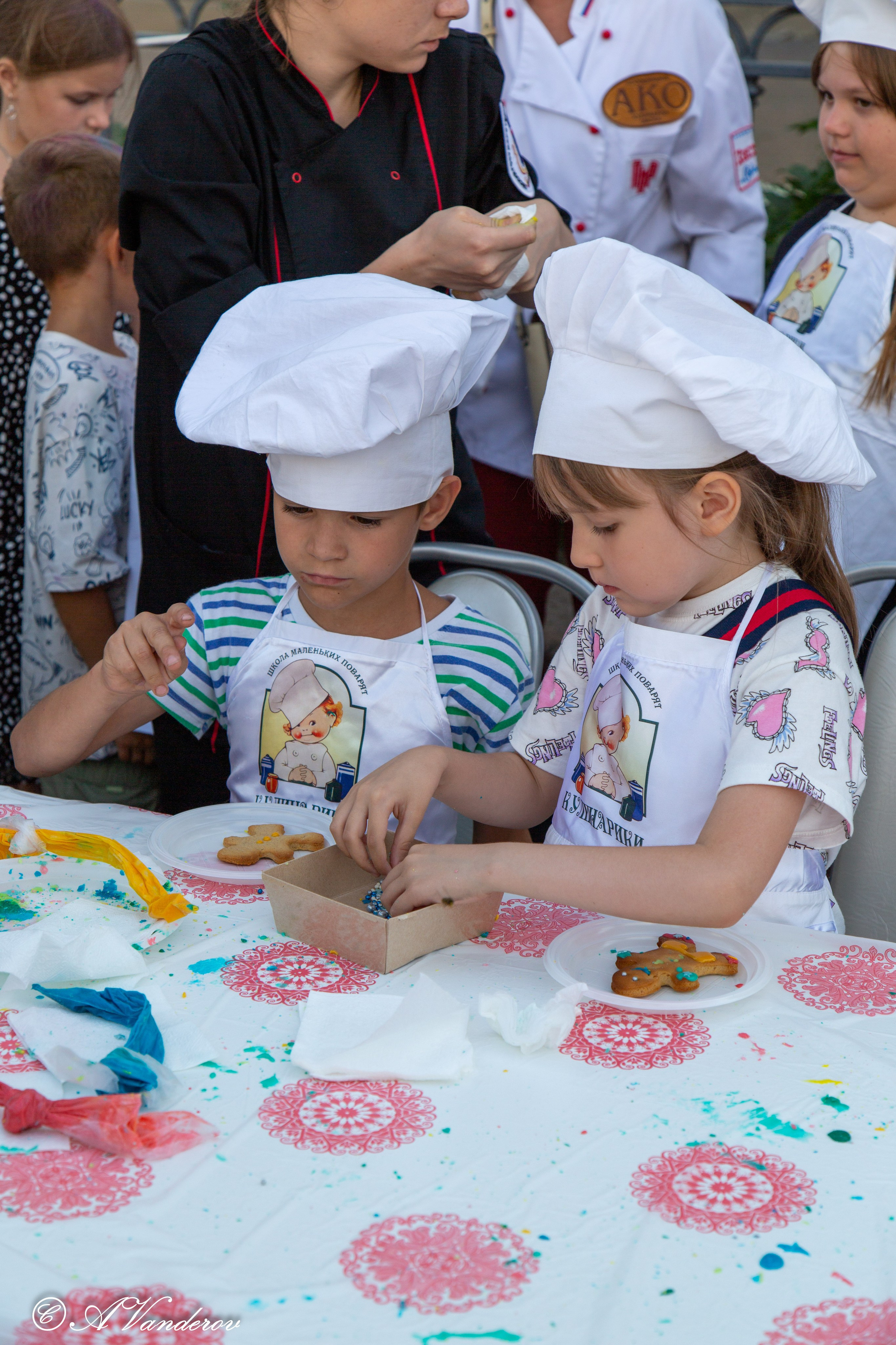 День города 03.08.2024. Фотограф Омск | Александр Вандеров