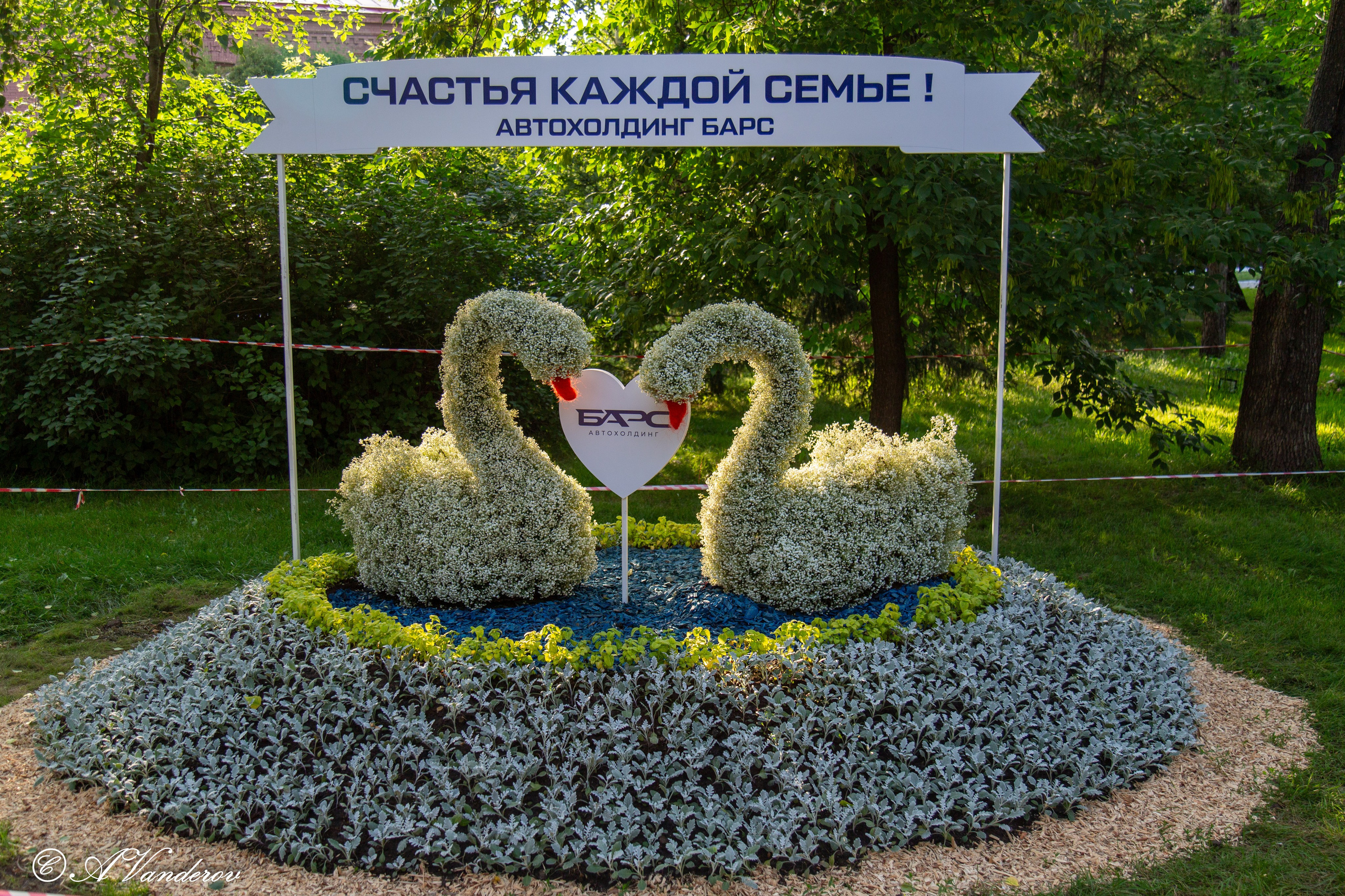 День города 03.08.2024. Фотограф Омск | Александр Вандеров