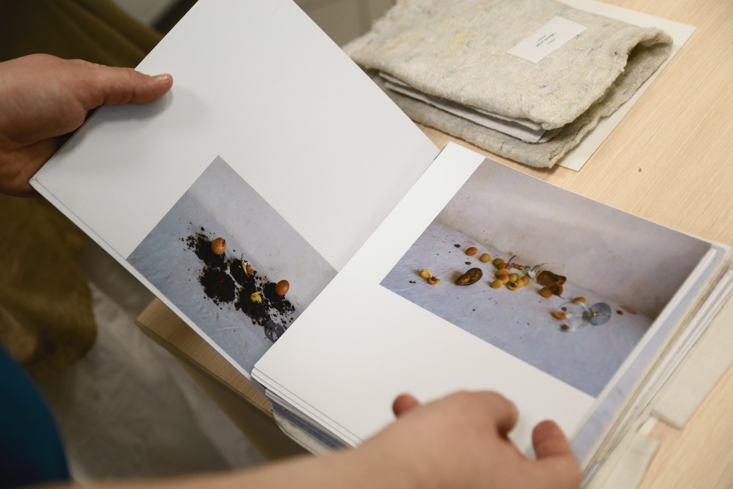 «Жердёла», зин-фестиваль, 24–25 мая, музей-библиотека Н. Ф. Фёдорова, Москва. Лера Круглова