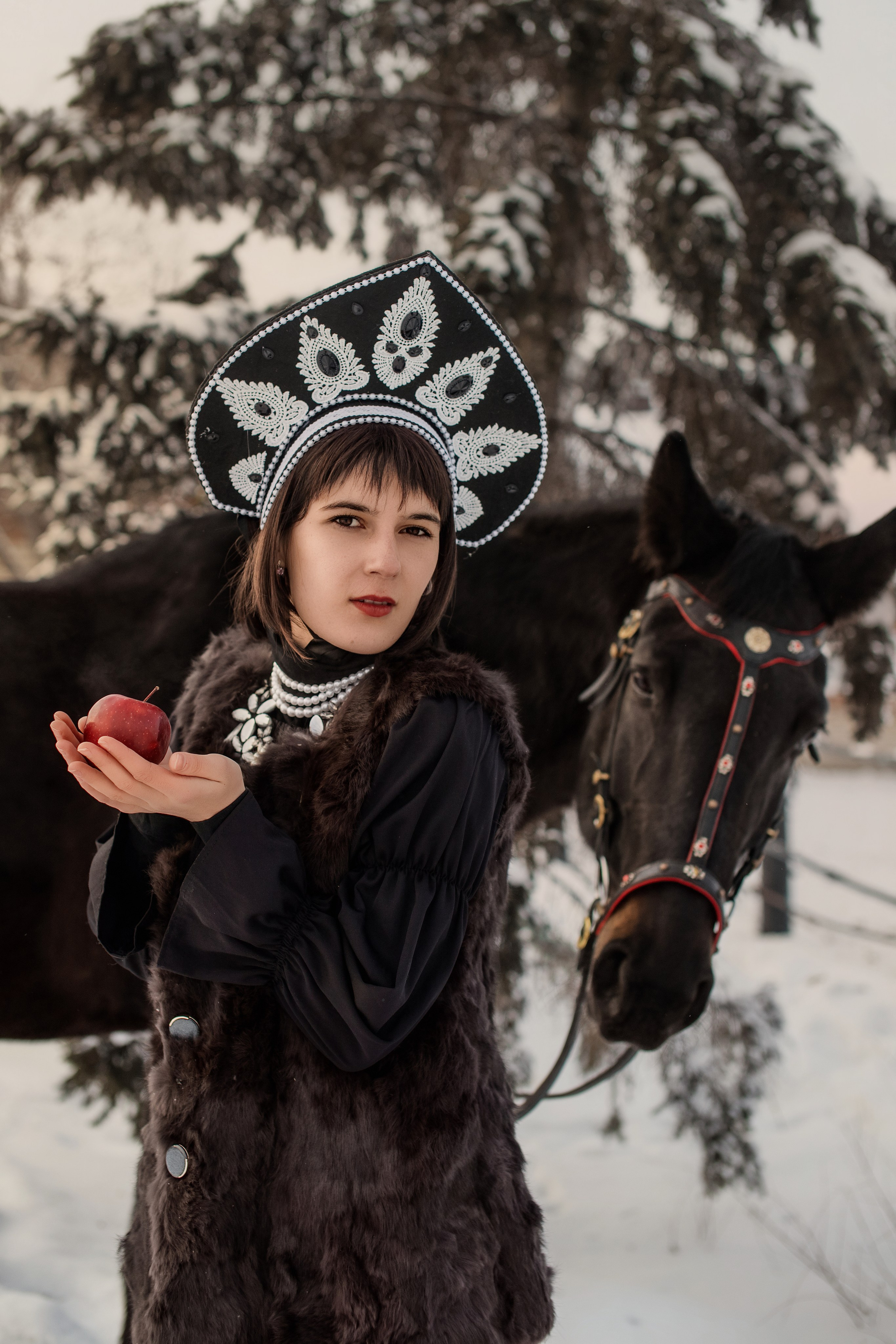 Фото-проект с лошадьми в Белокурихе и Барнауле «Мороз и Солнце». Главная