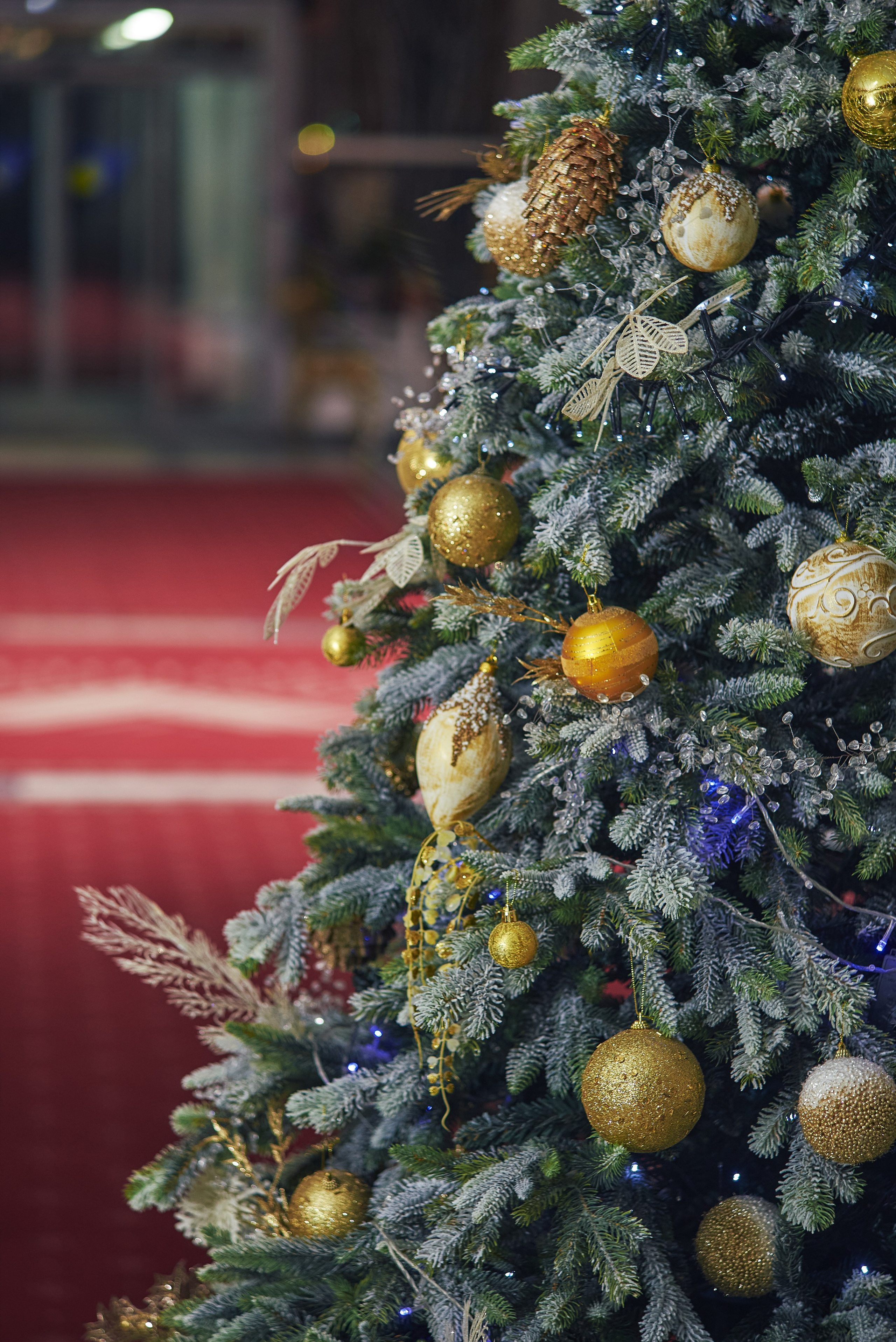 Фотограф Константин Кордонский