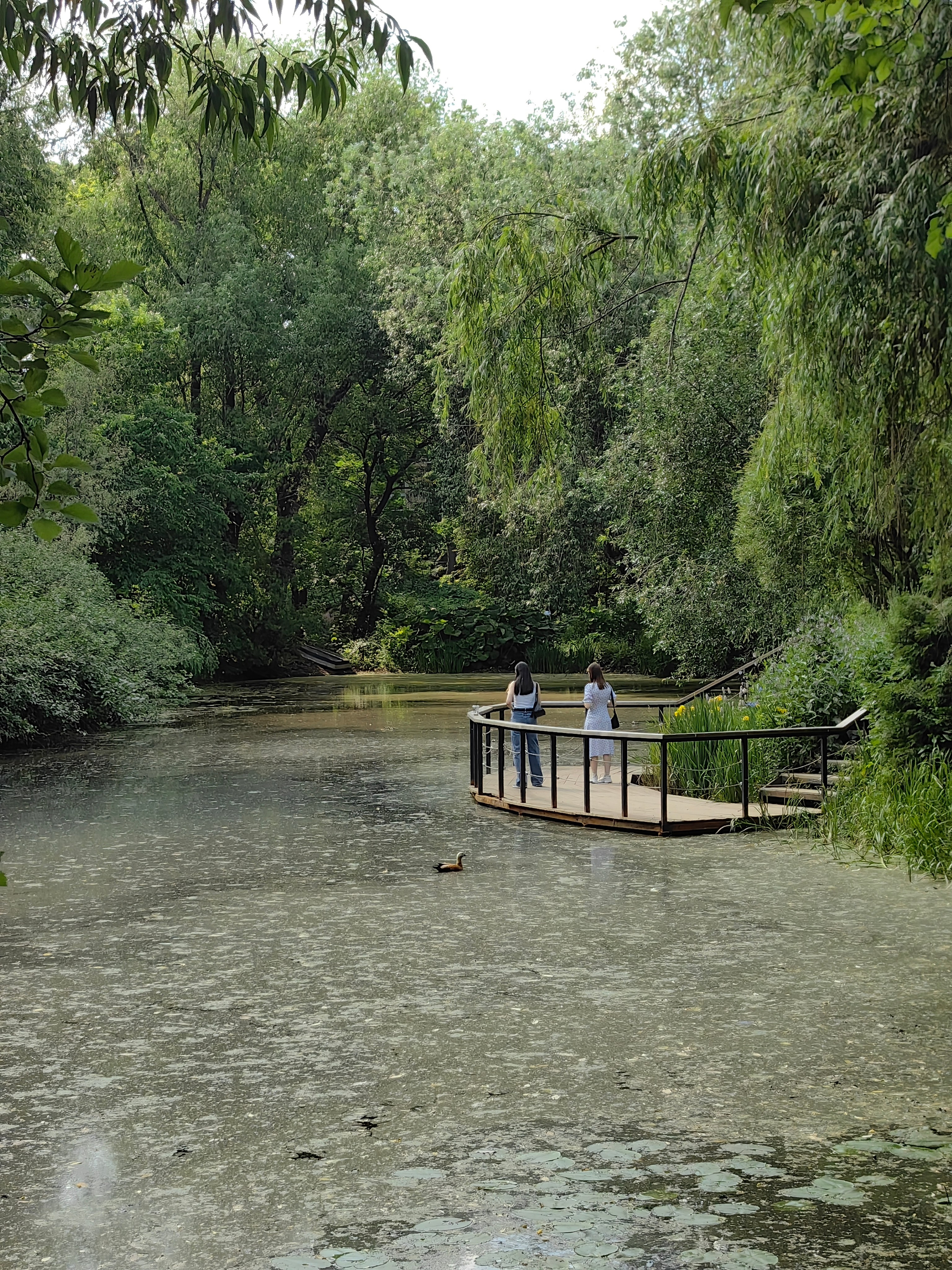 Парк АПТЕКАРСКИЙ ОГОРОД обзор. Фотограф в Москве и Московской области (Ю-В) Олеся Макарова