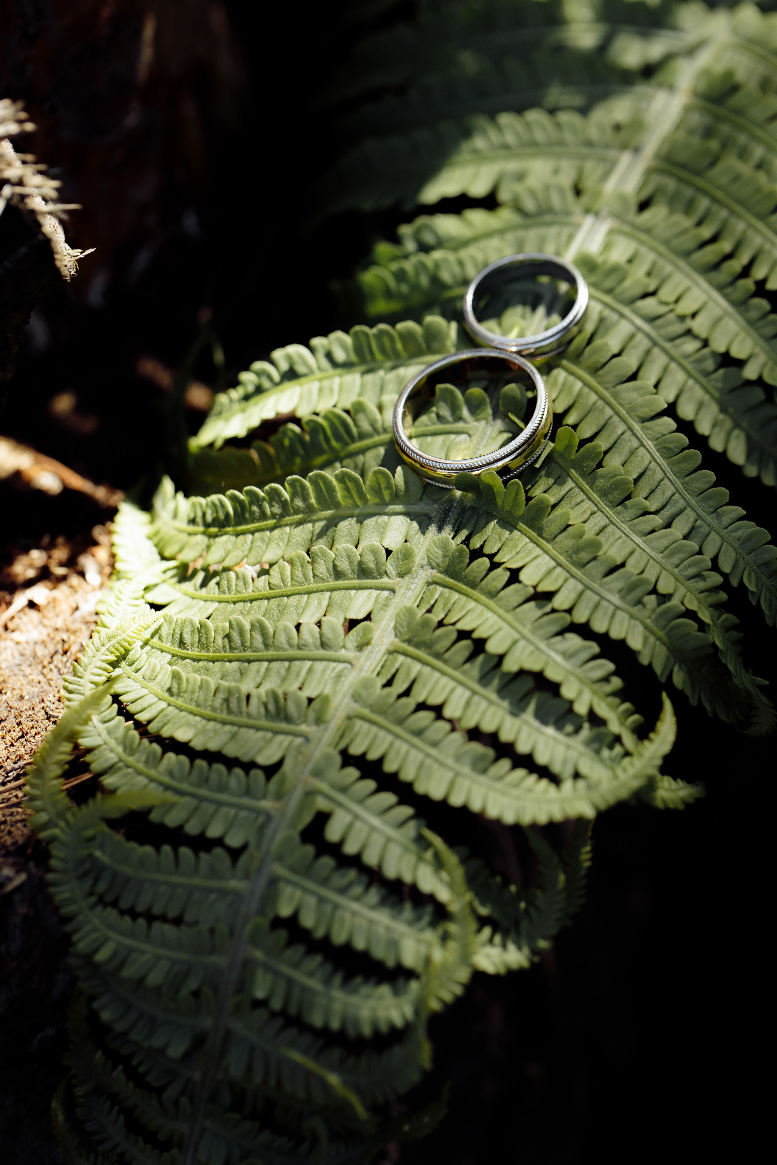 Дом у Леса. Свадебный день Рауфа и Анастасии