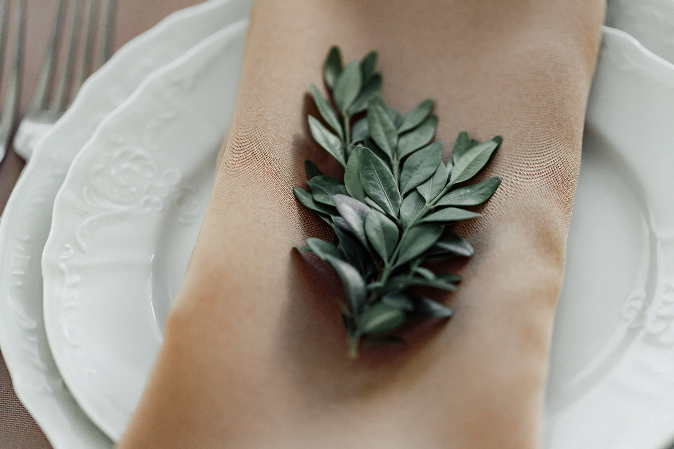 Дом у Леса. Свадебный день Рауфа и Анастасии