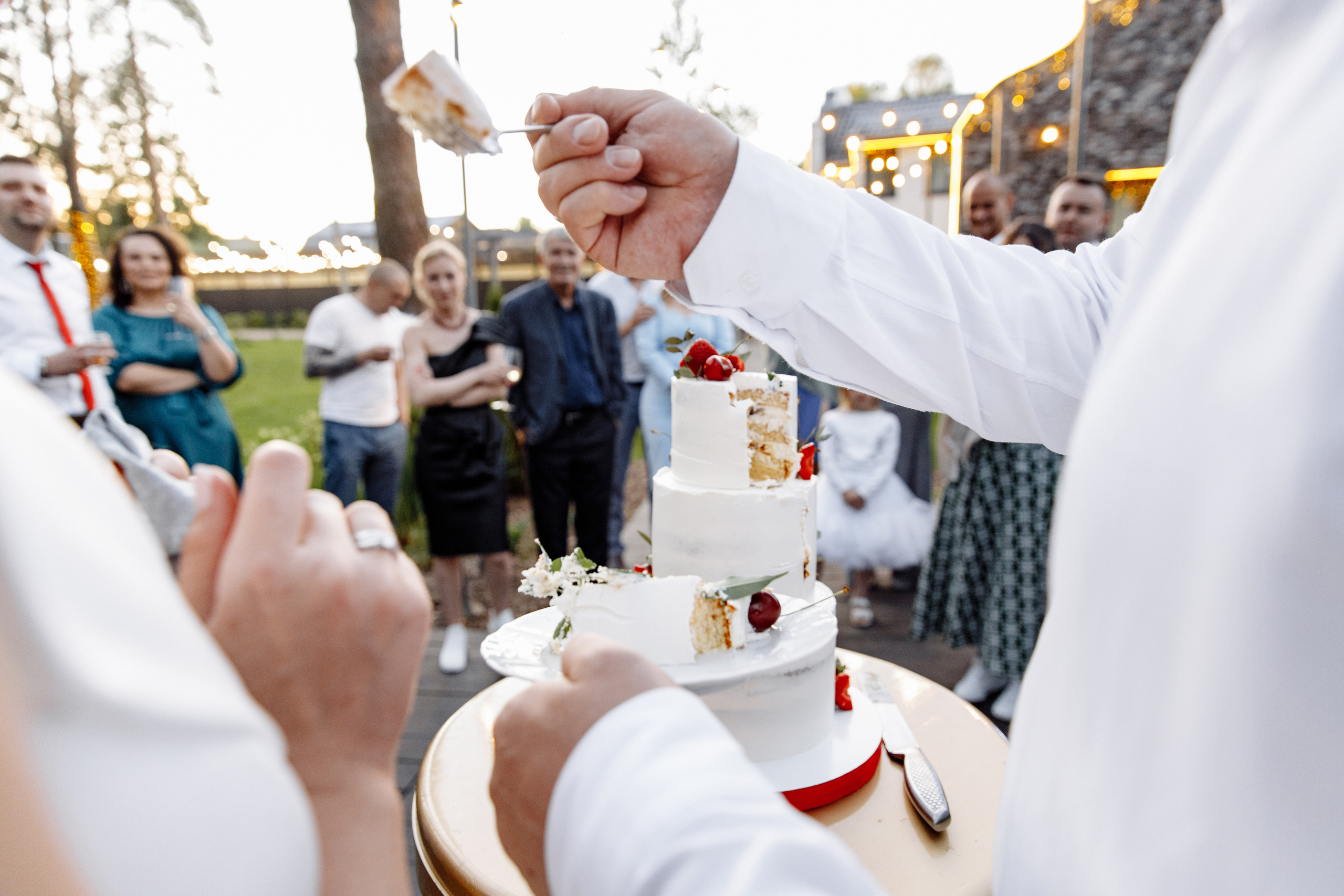 Дом у Леса. Свадебный день Рауфа и Анастасии