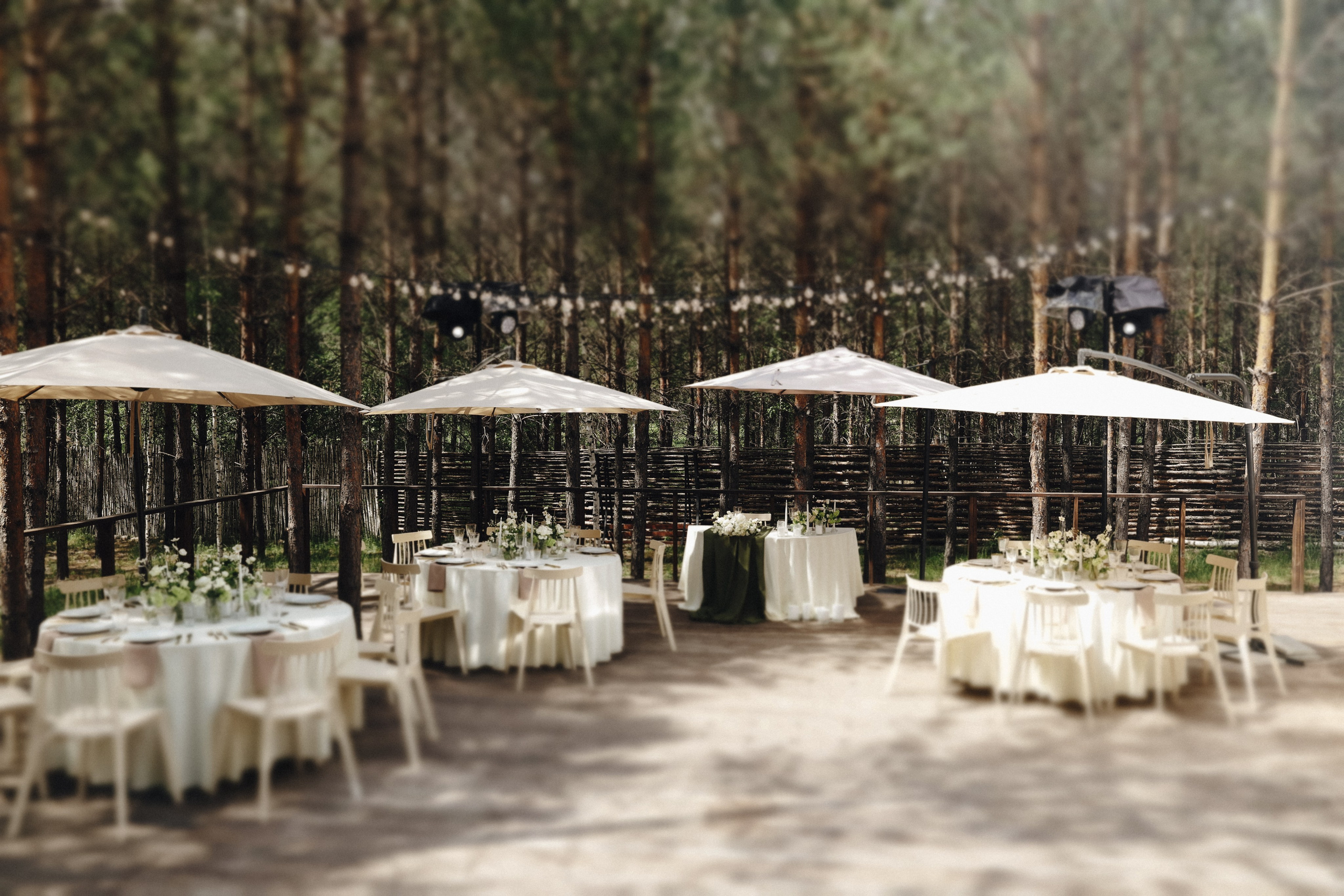 Свадьба в лесу под открытым небом