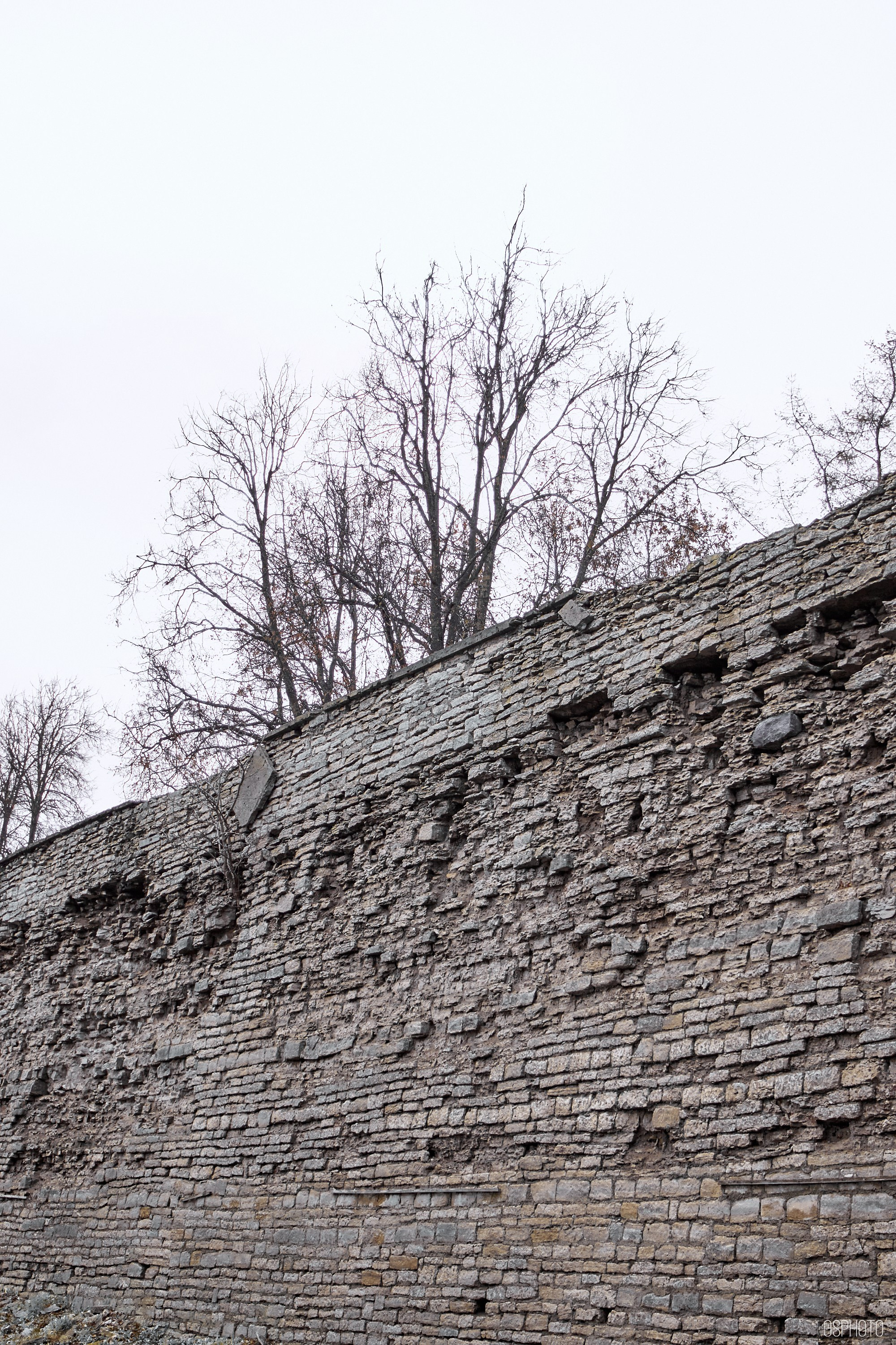 Псков. Ноябрь. Фотографъ Сергѣевъ. Поймать мгновеніе
