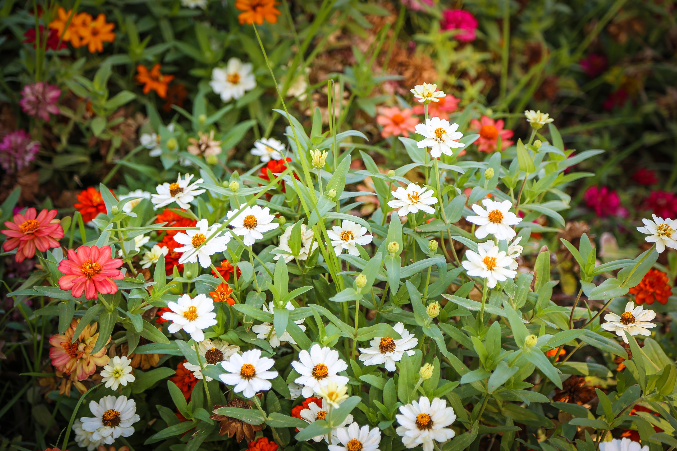 Испания: провинция Мурсия — первая встреча. Дарья Письменюк / Darya Leitstern — фотограф, музыкант, журналист, путешественник