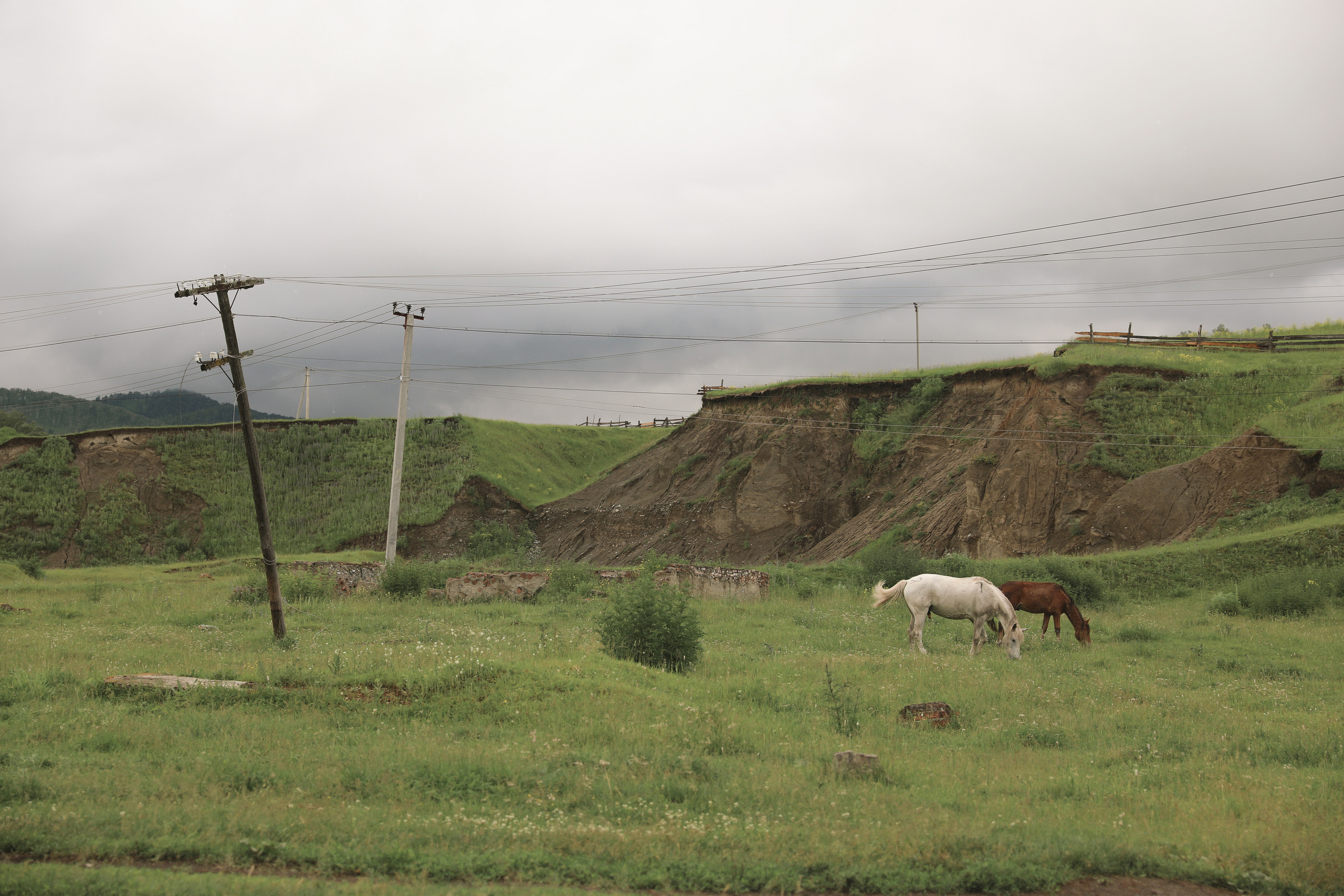 Алтай. Надежда Крылова